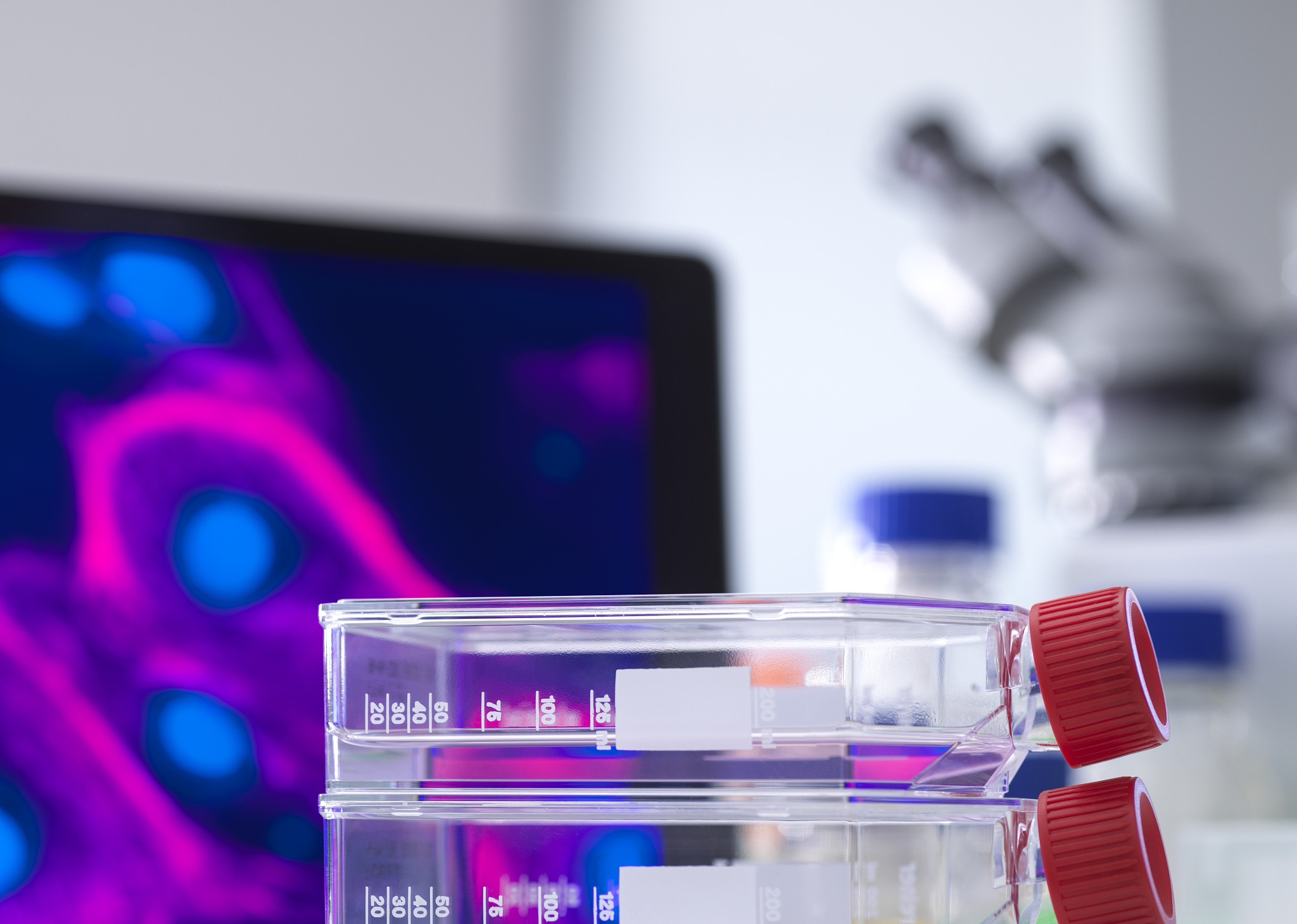 细胞生活环境信息技术融合教案 |  提高生物课堂趣味性