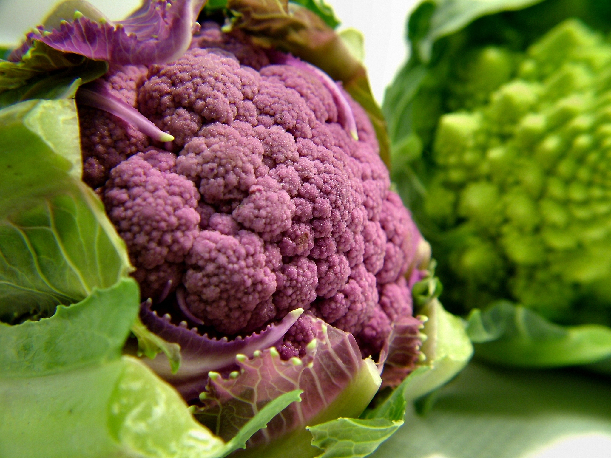 上海青炒成粉红色是怎么回事