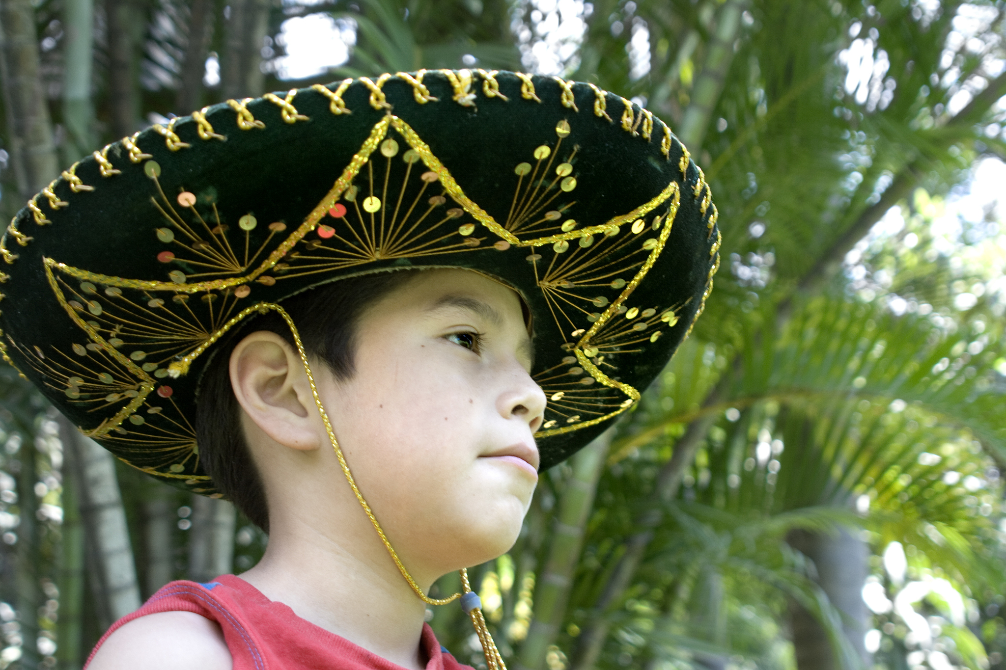 马里亚契乐队,男孩,charro,青少年,拉美人和西班牙裔人
