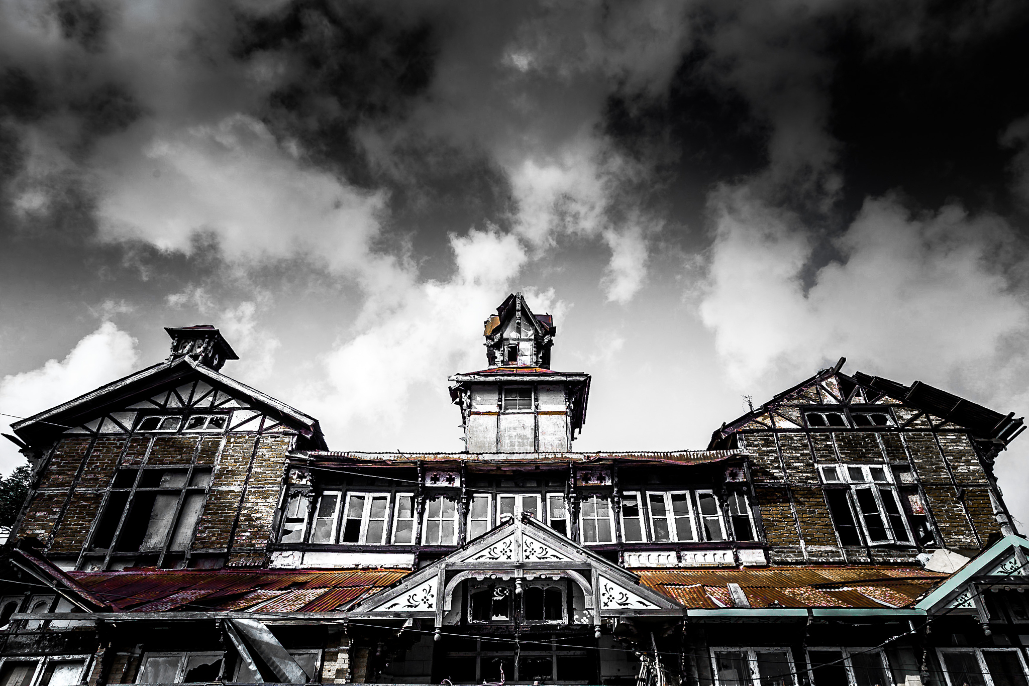 Make me a story were a demon a talking bird and a person go and go to a field trip in their car