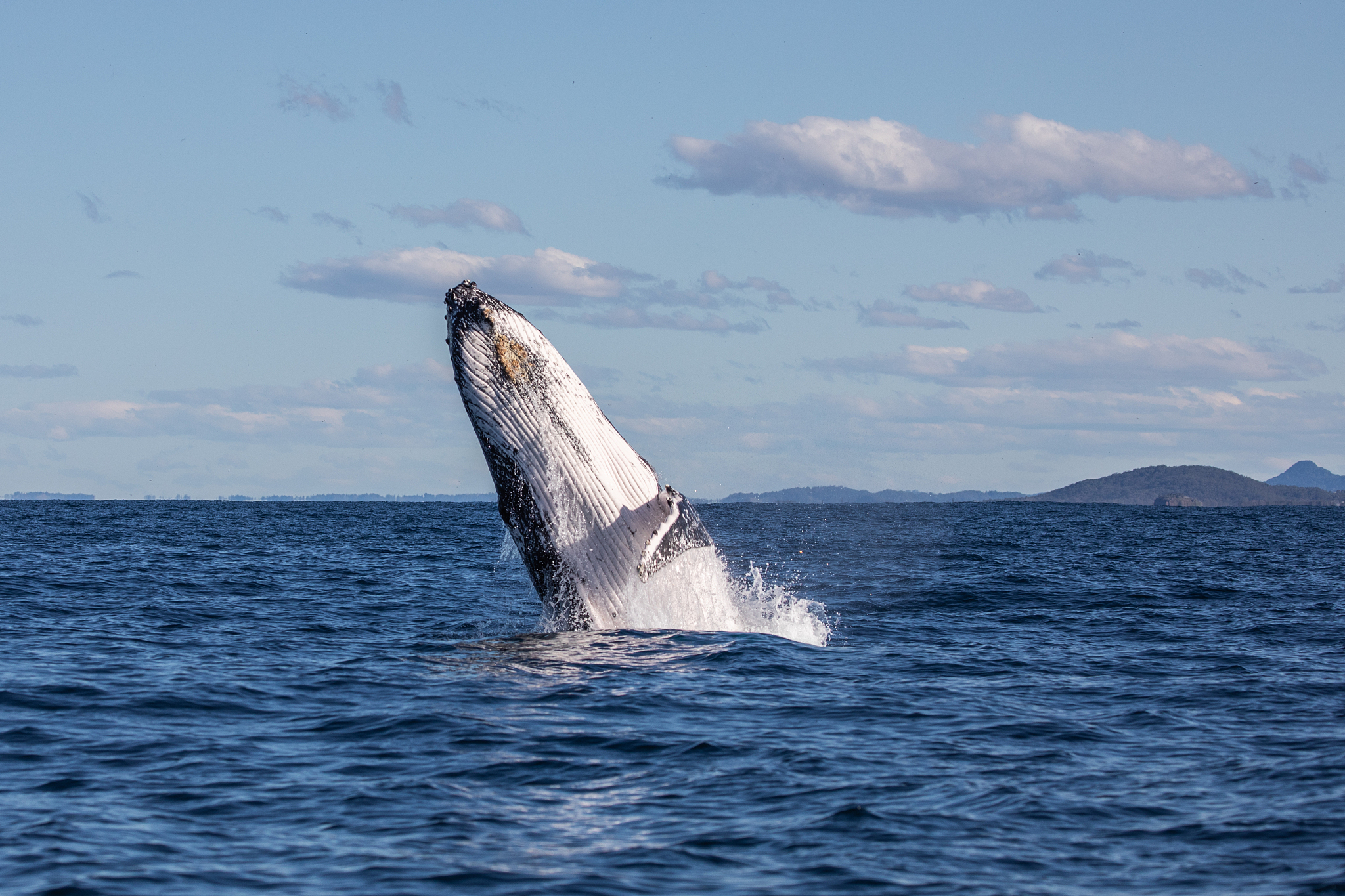 大连海洋学校2021年毕业生就业情况：就业率高，前景广阔