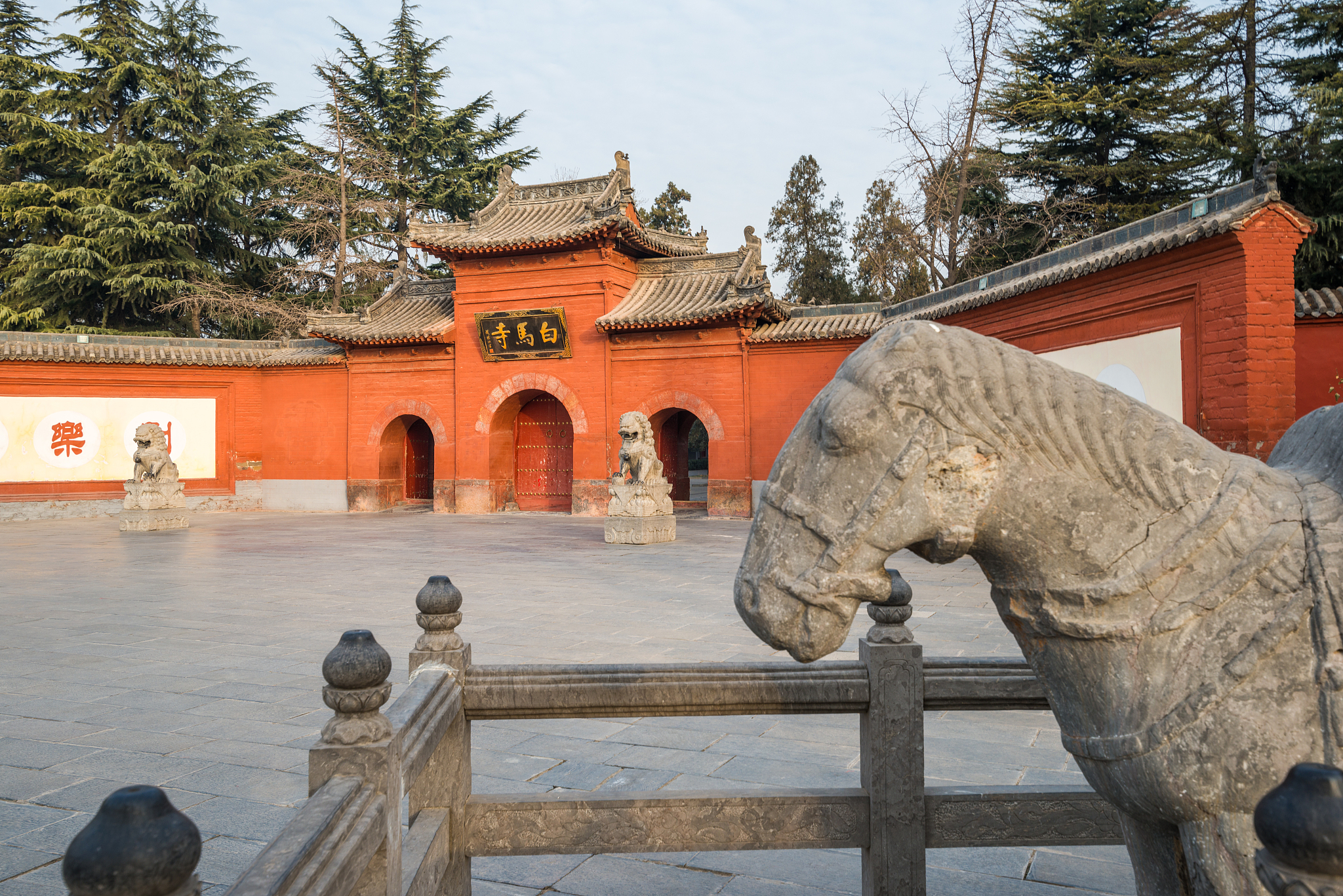 请帮我写1篇不少于800汉字的博客文章语言要幽默接地气。主题是：洛阳市区面积