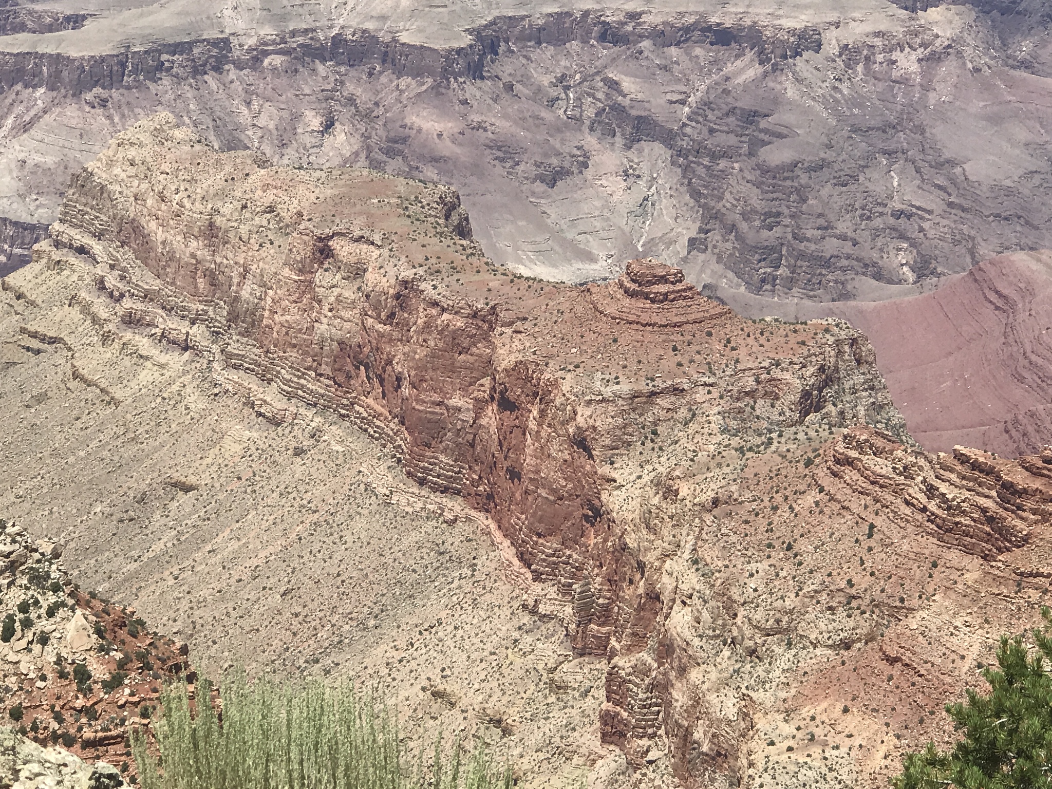 阿卡姆城西部的荒野：翻译检查