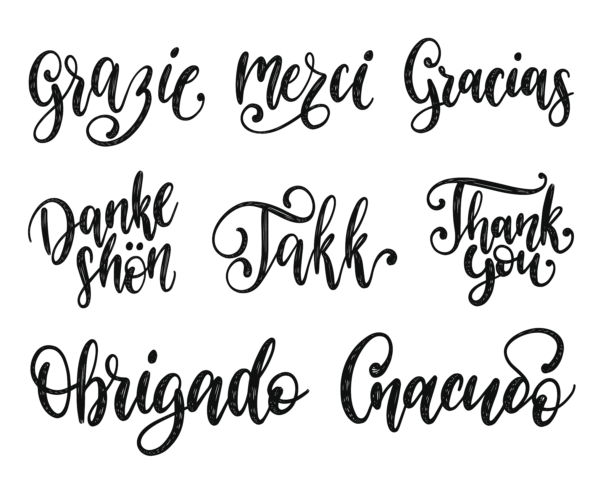 vector calligraphy set of different languages translation of tha