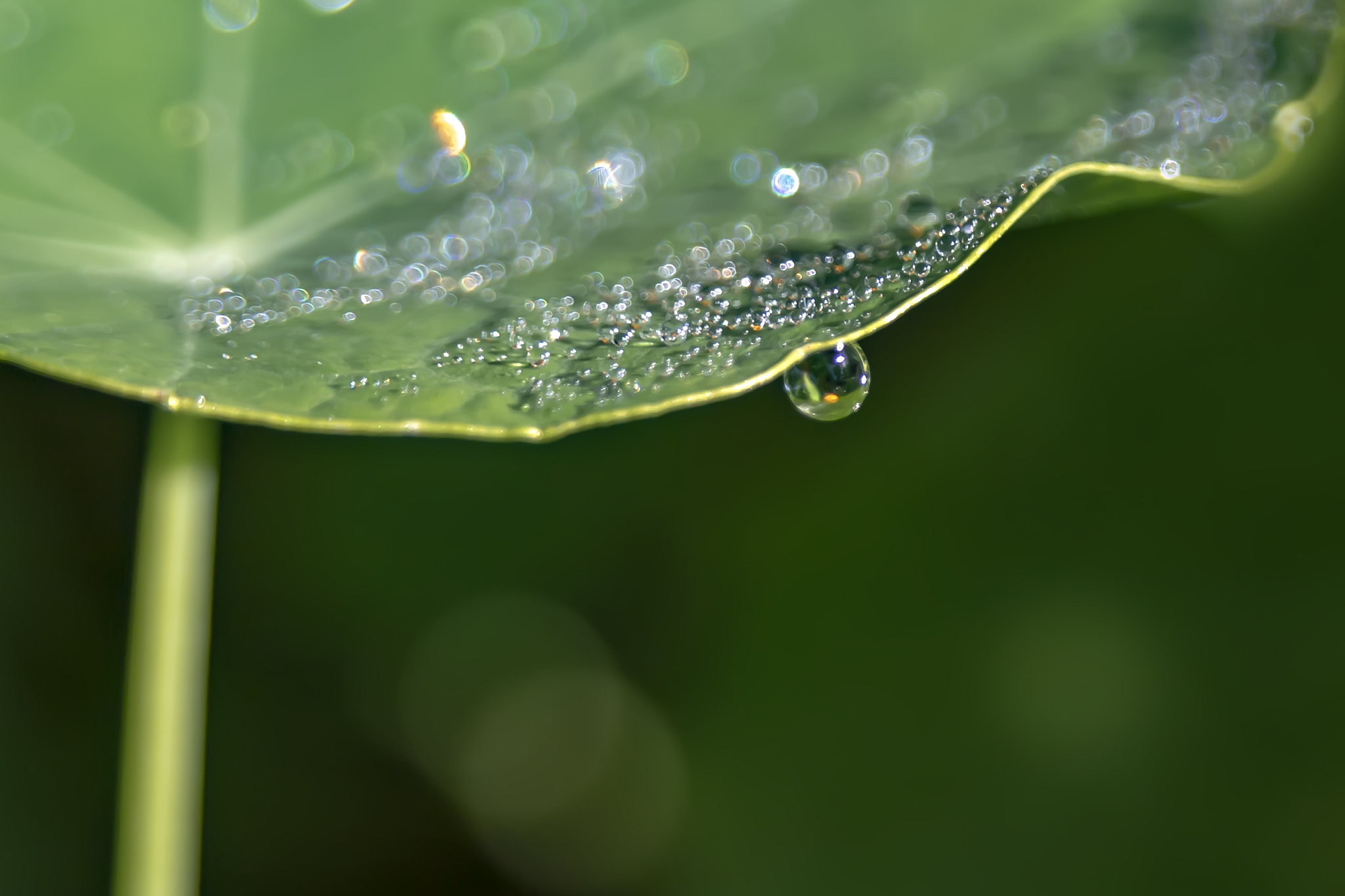 漳州理工职业学院包装技术与设计专业专业好不好发展前景怎样