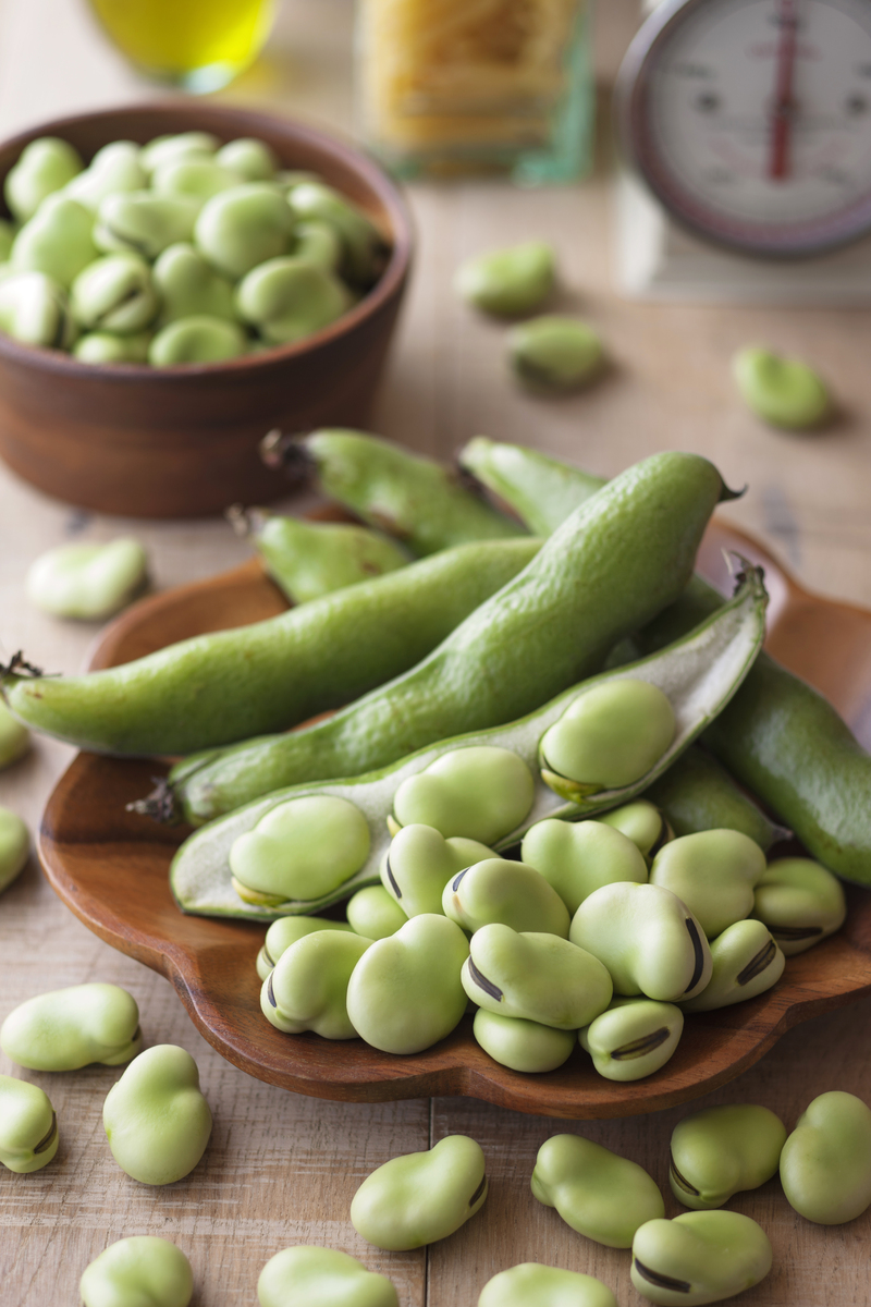 兰花豆：营养丰富、美味可口、种植简便，市场前景广阔