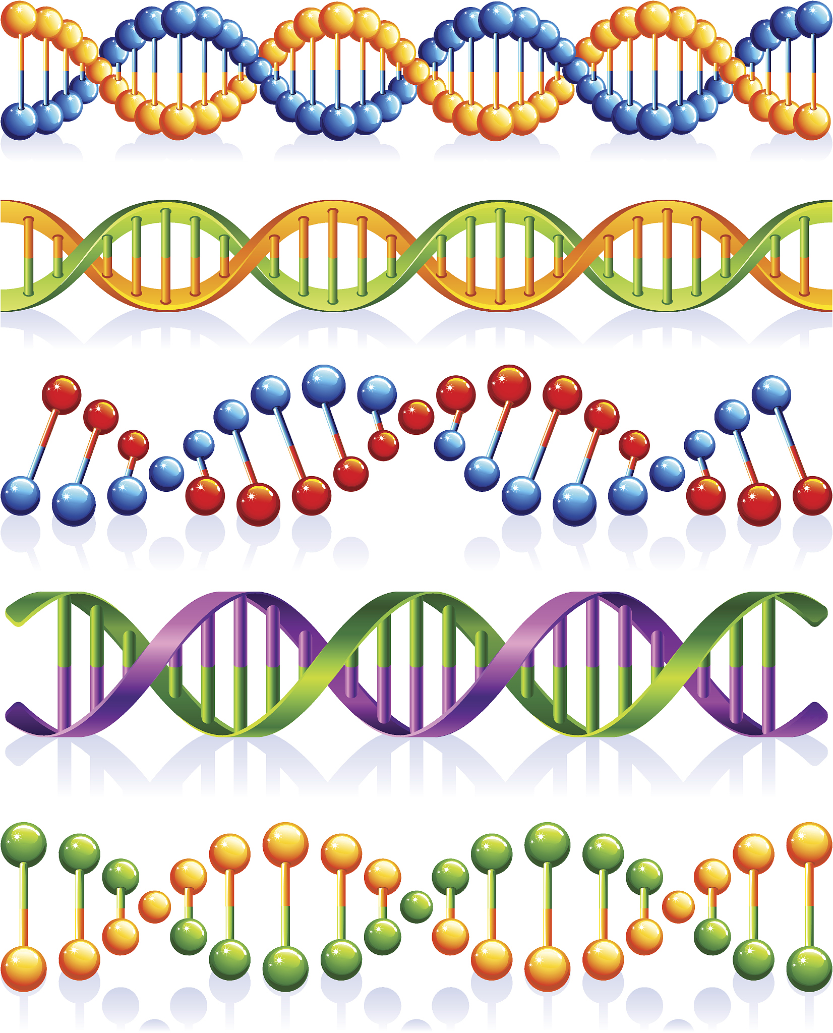 底层功能基因翻译表达一系列酶基因，参与纤维素等单体合成