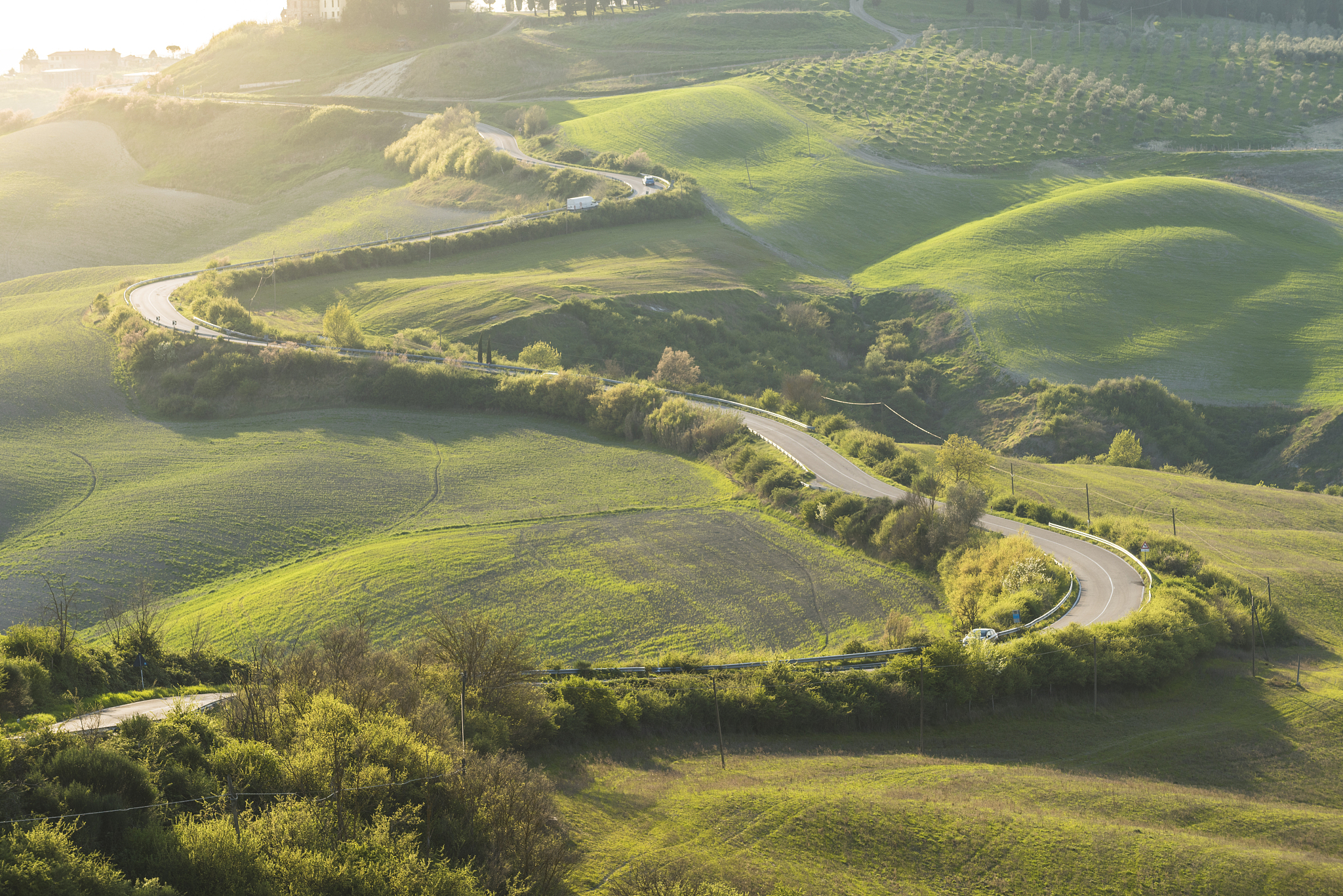 valdorcia, siena, tuscany. view of a road of cypresses with a fa