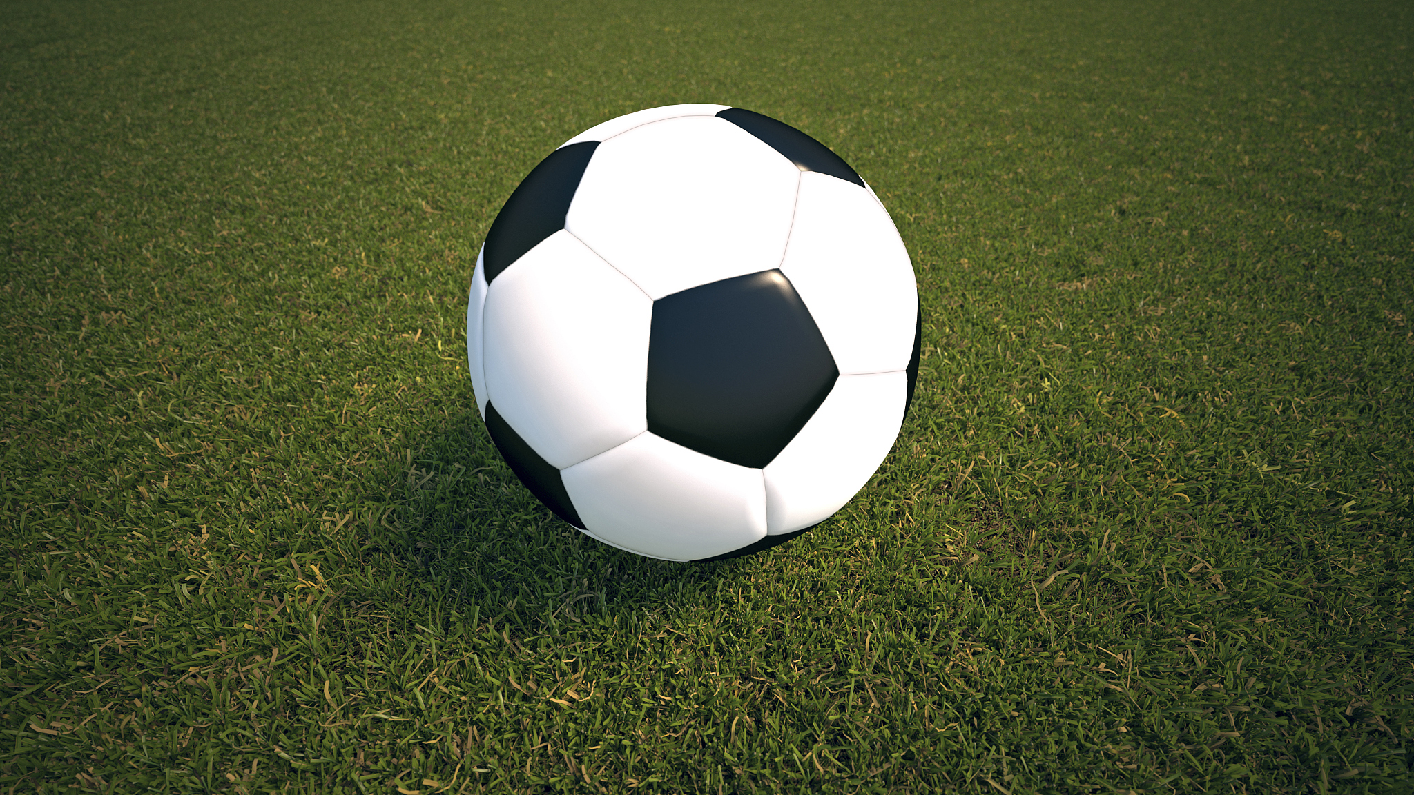 soccer field