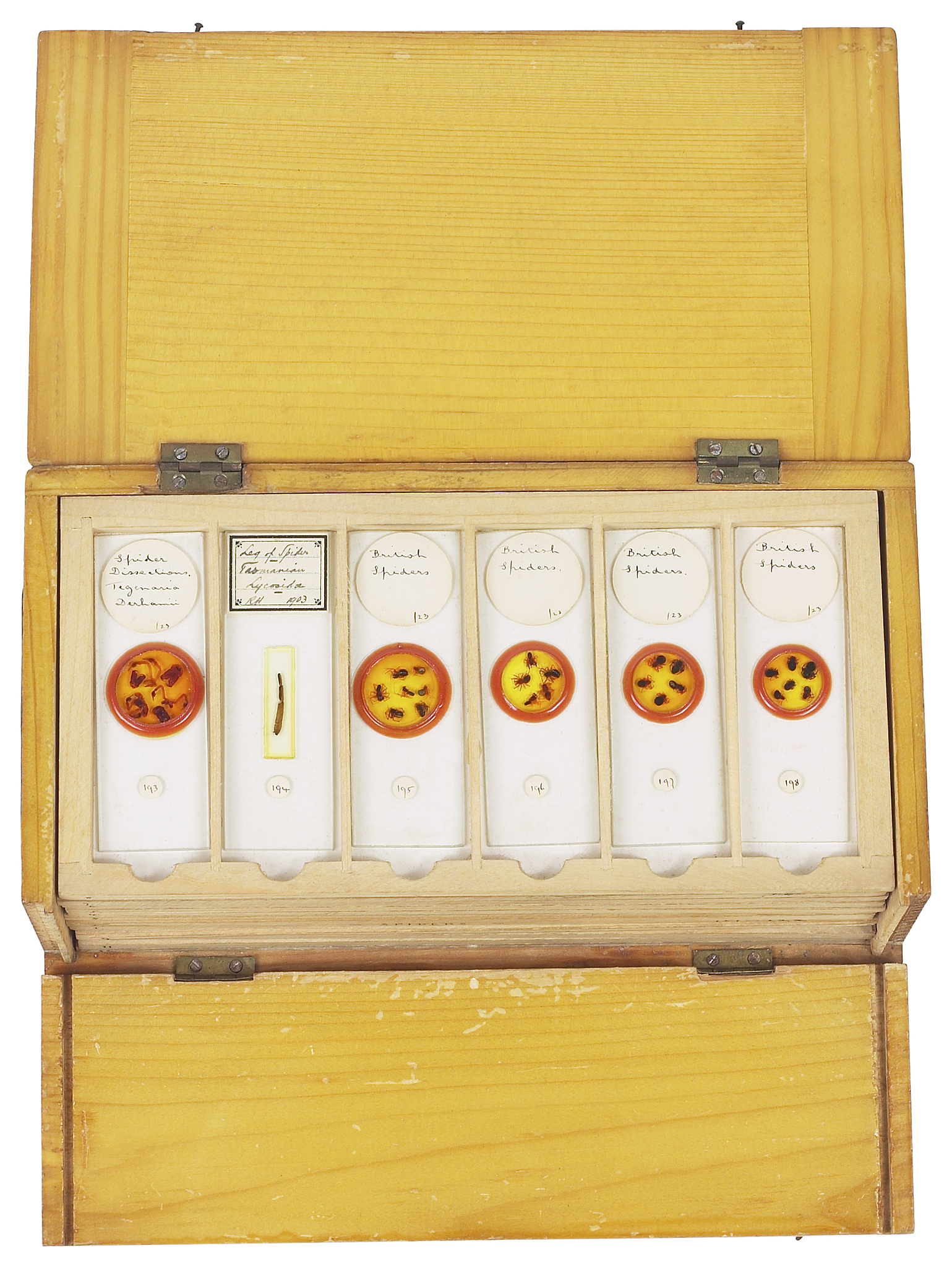 请帮我写一份中国风美容仪产品的品牌故事这个产品是专门为东方女性创建的研发团队是清华大学的电子专业专家