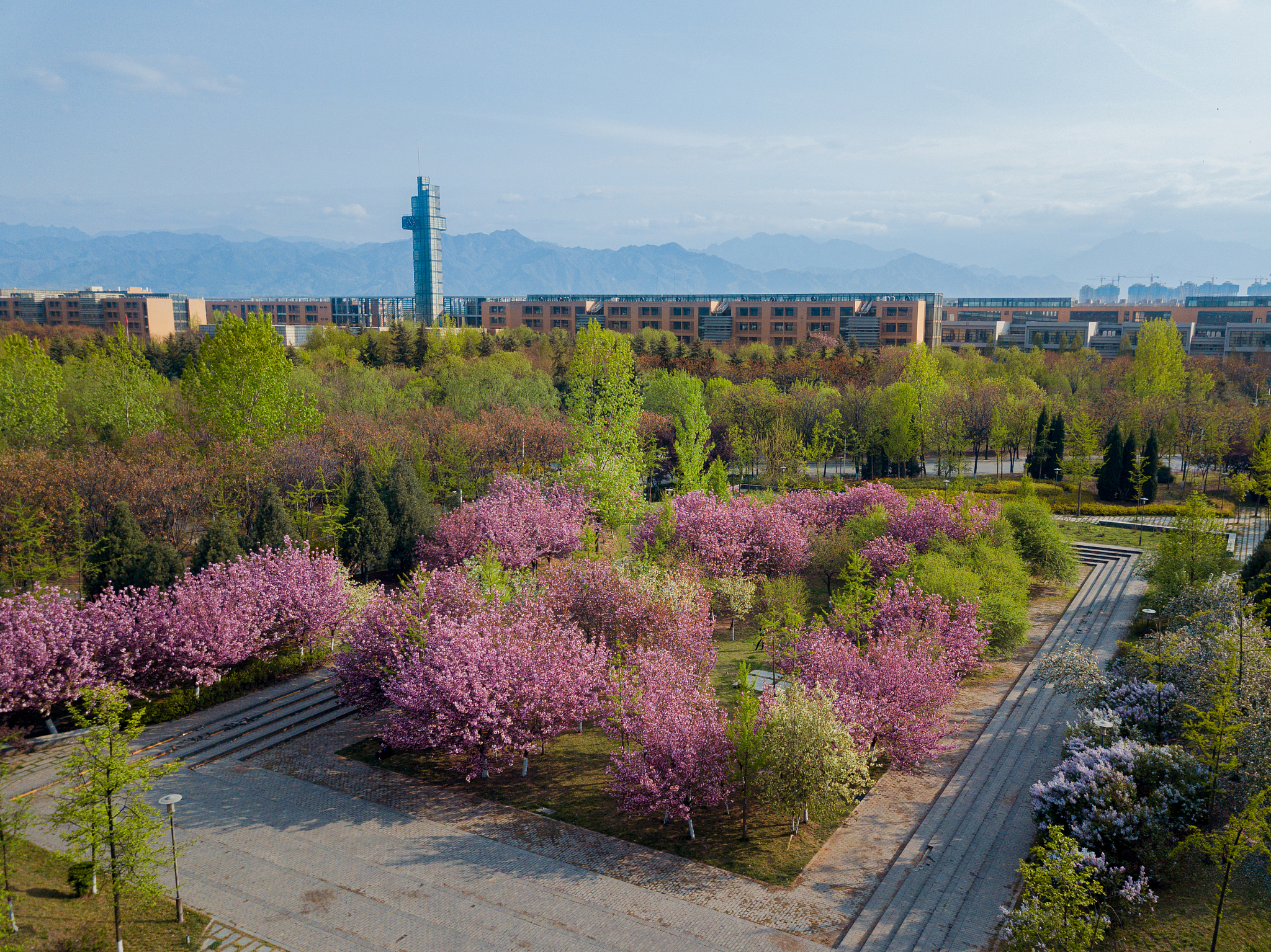 西安电子科技大学的金融学专业招生人数