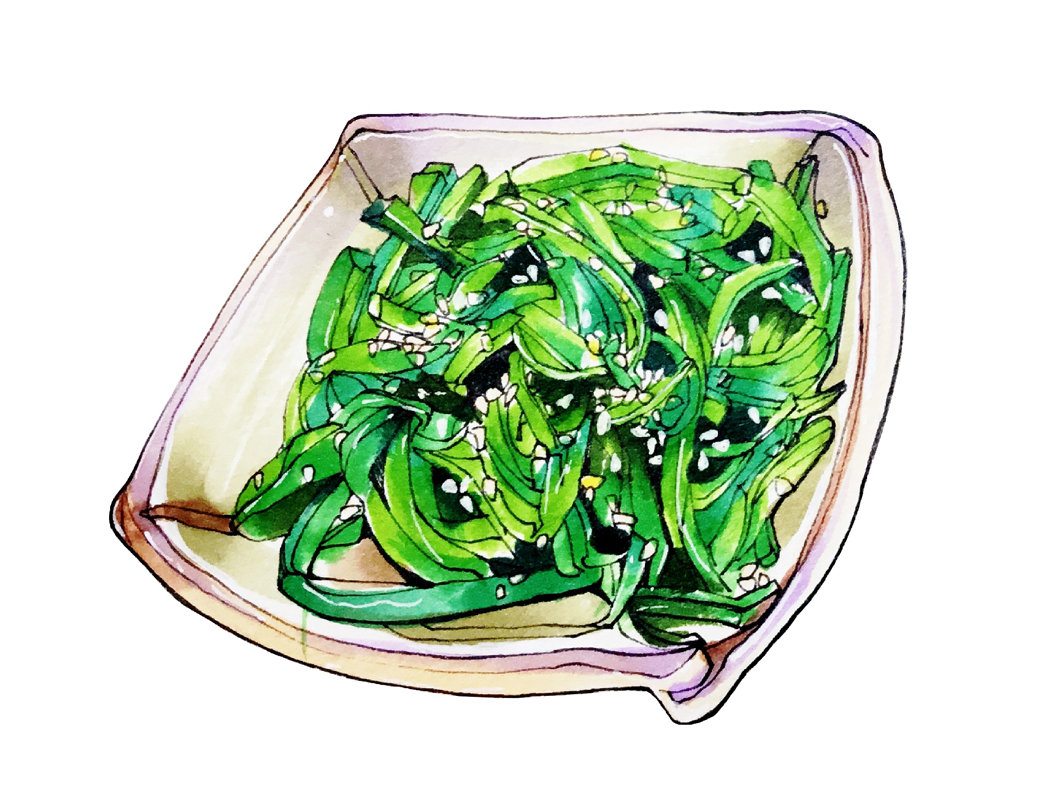 马克笔美食手绘插画  健康蔬菜绿色食品 凉拌海草