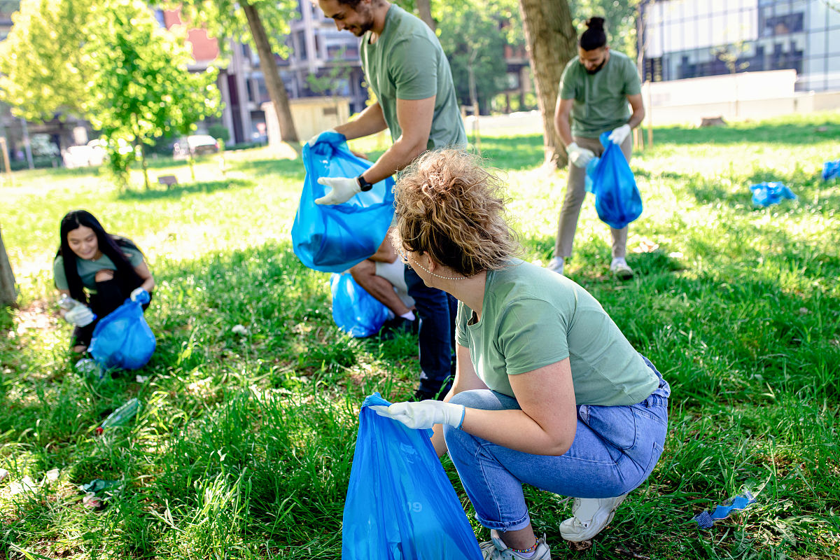 走进绿色未来：共同参与环保共建美丽家园社会实践感悟稿抒情散文