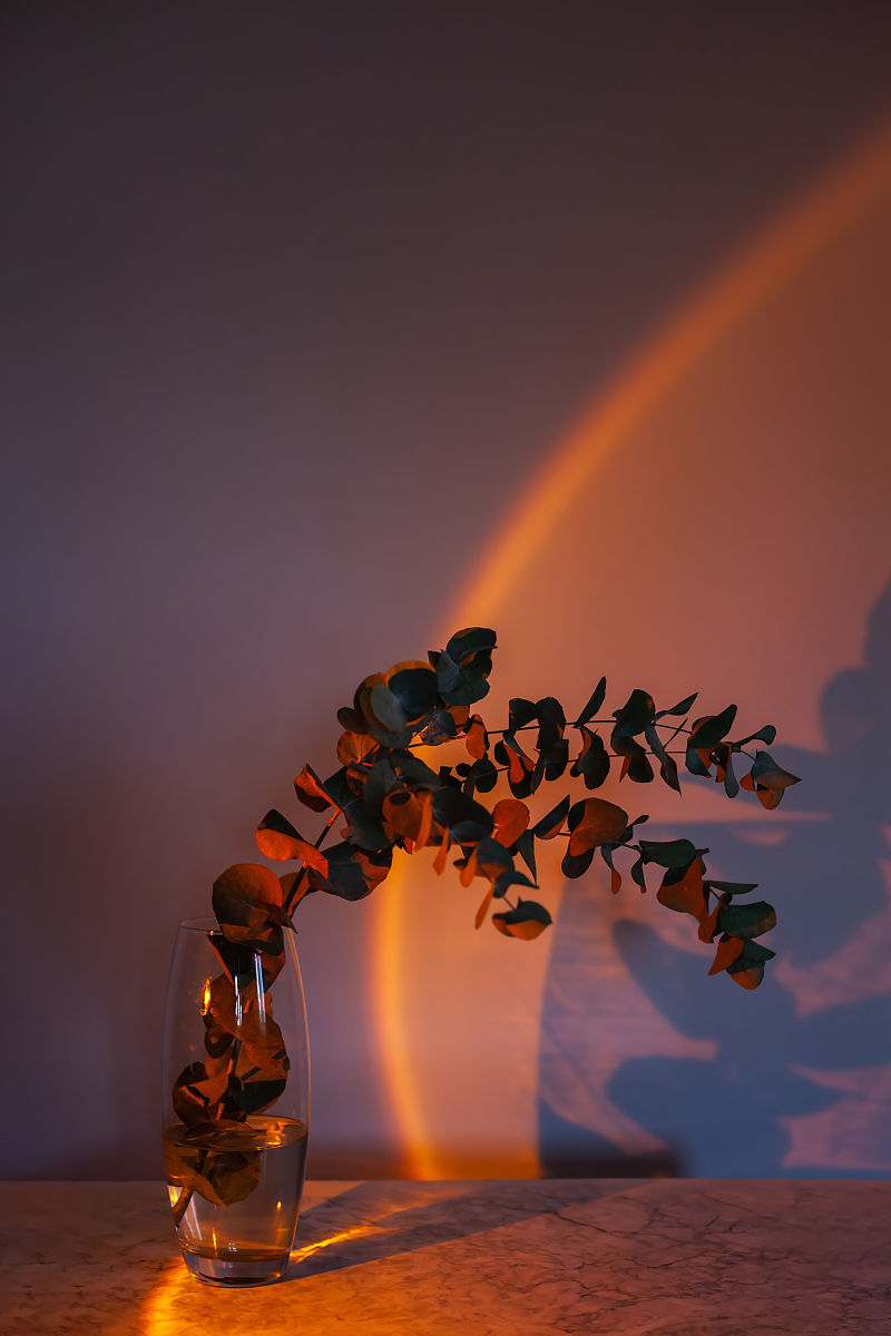 捕捉时光的魔力：探索摄影艺术的无限可能