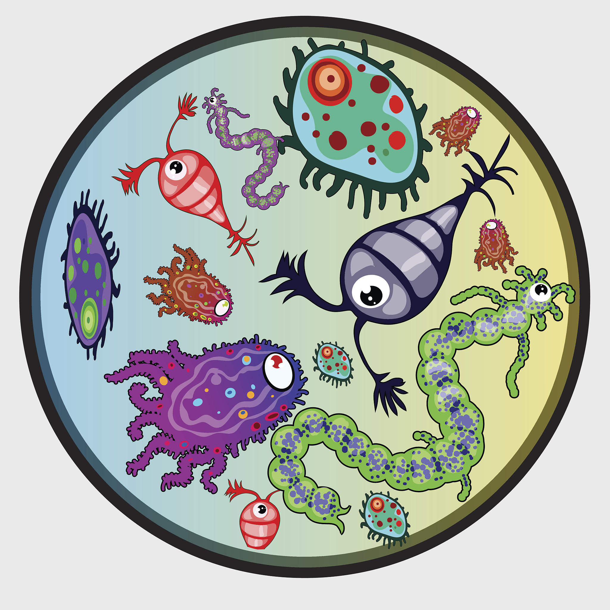 高考生物易错知识点总结：遗传、生态、细胞、人体、植物等