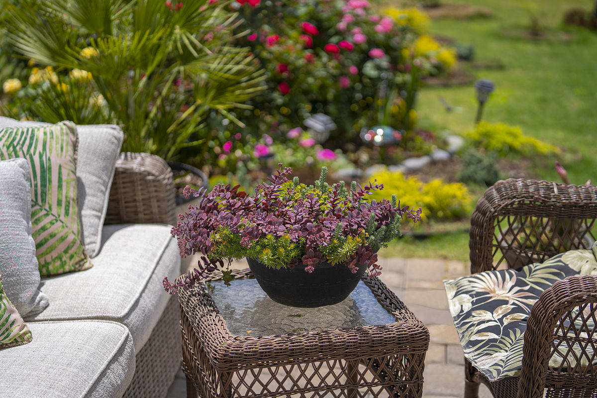 When-all-the-flowers-were-ready-in-their-decorated-pots-Mama-spent-a-fourth-day-distributing-them-through-the-house-moving-a-wooden-stand-here-and-now-there-and-now-here-now-this-pot-with-the-shell-motif-now-the-other-pot-with-the-Spanish-tile-until-