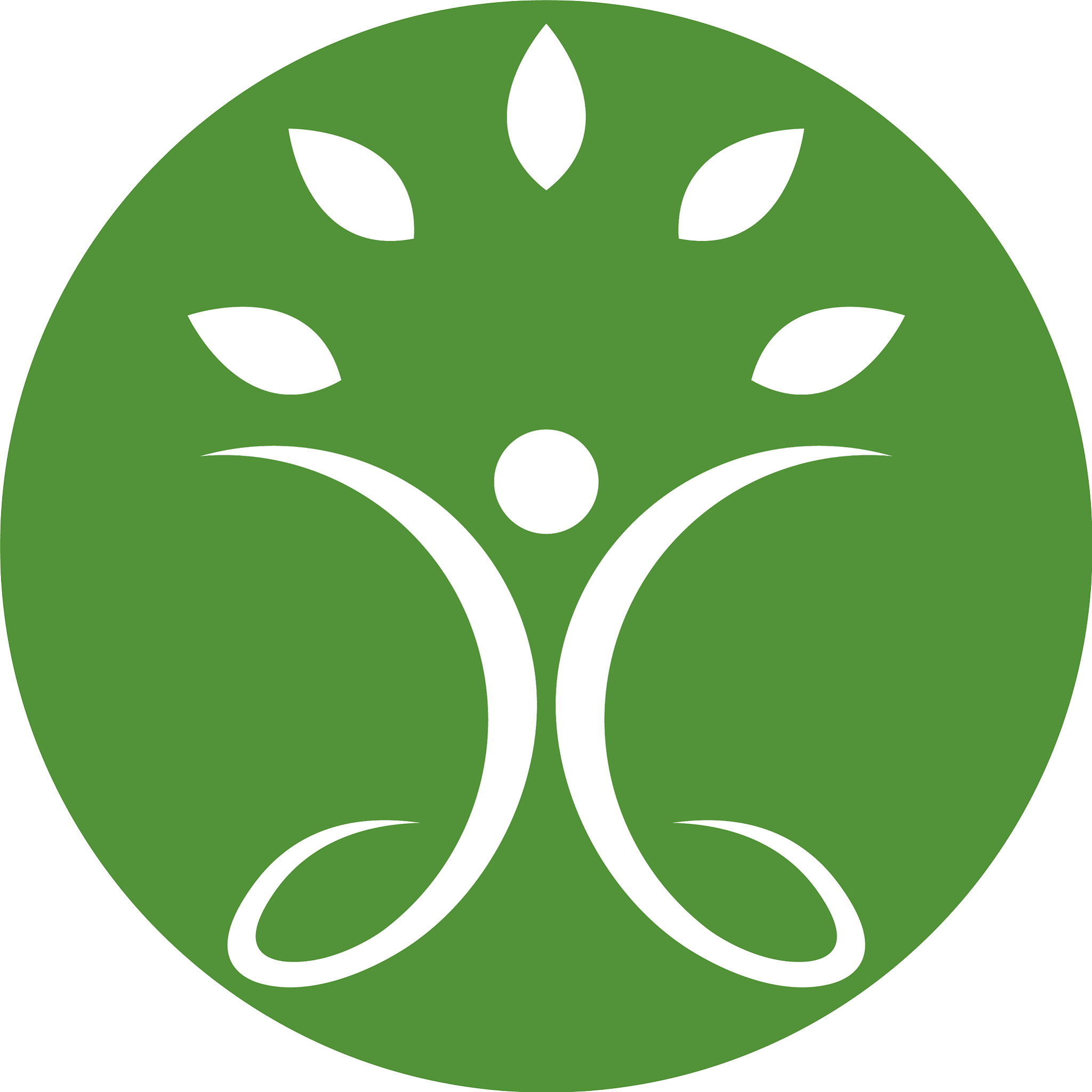 health icon design