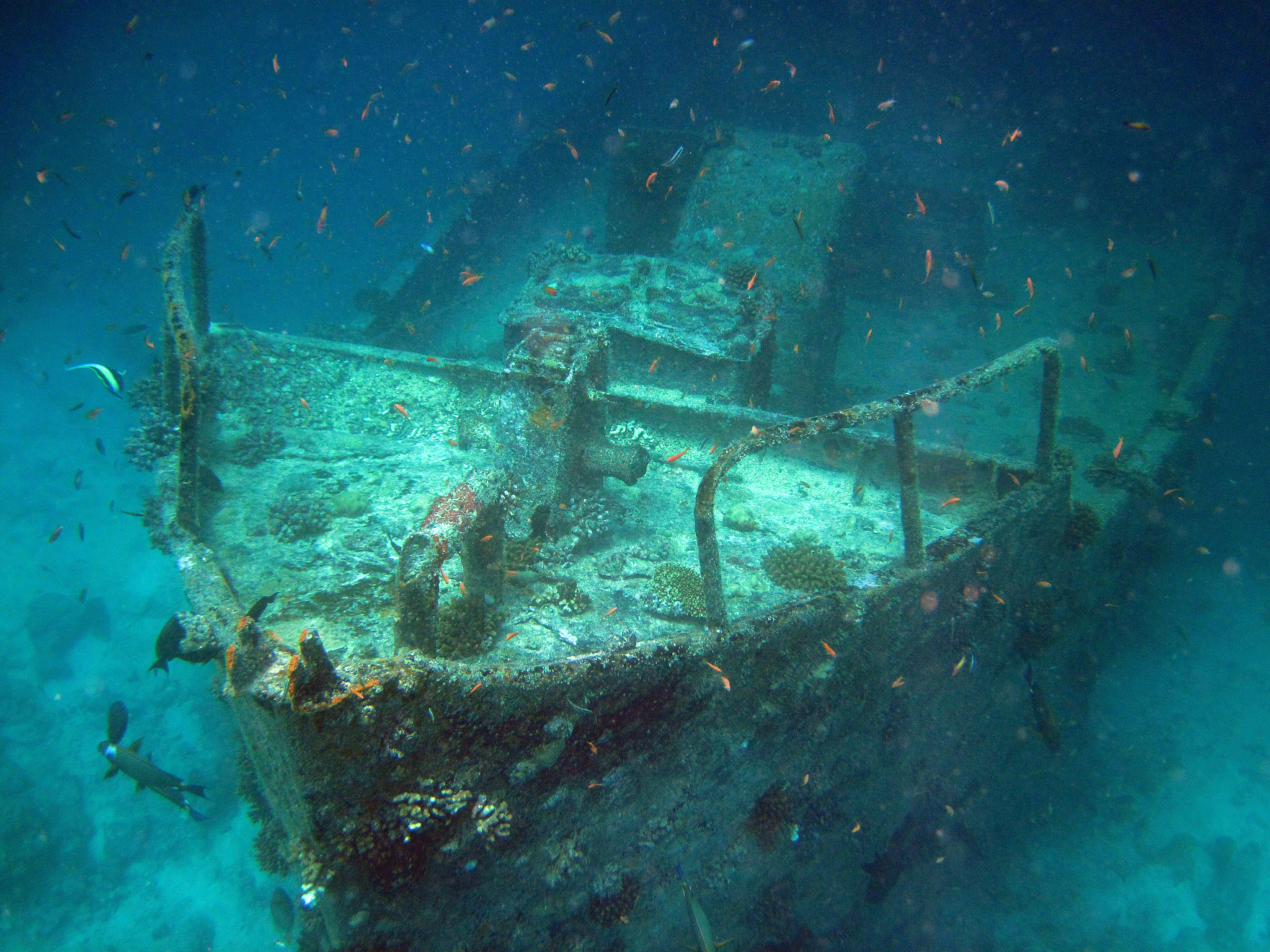 underwater shipwreck in maldivian lagoon