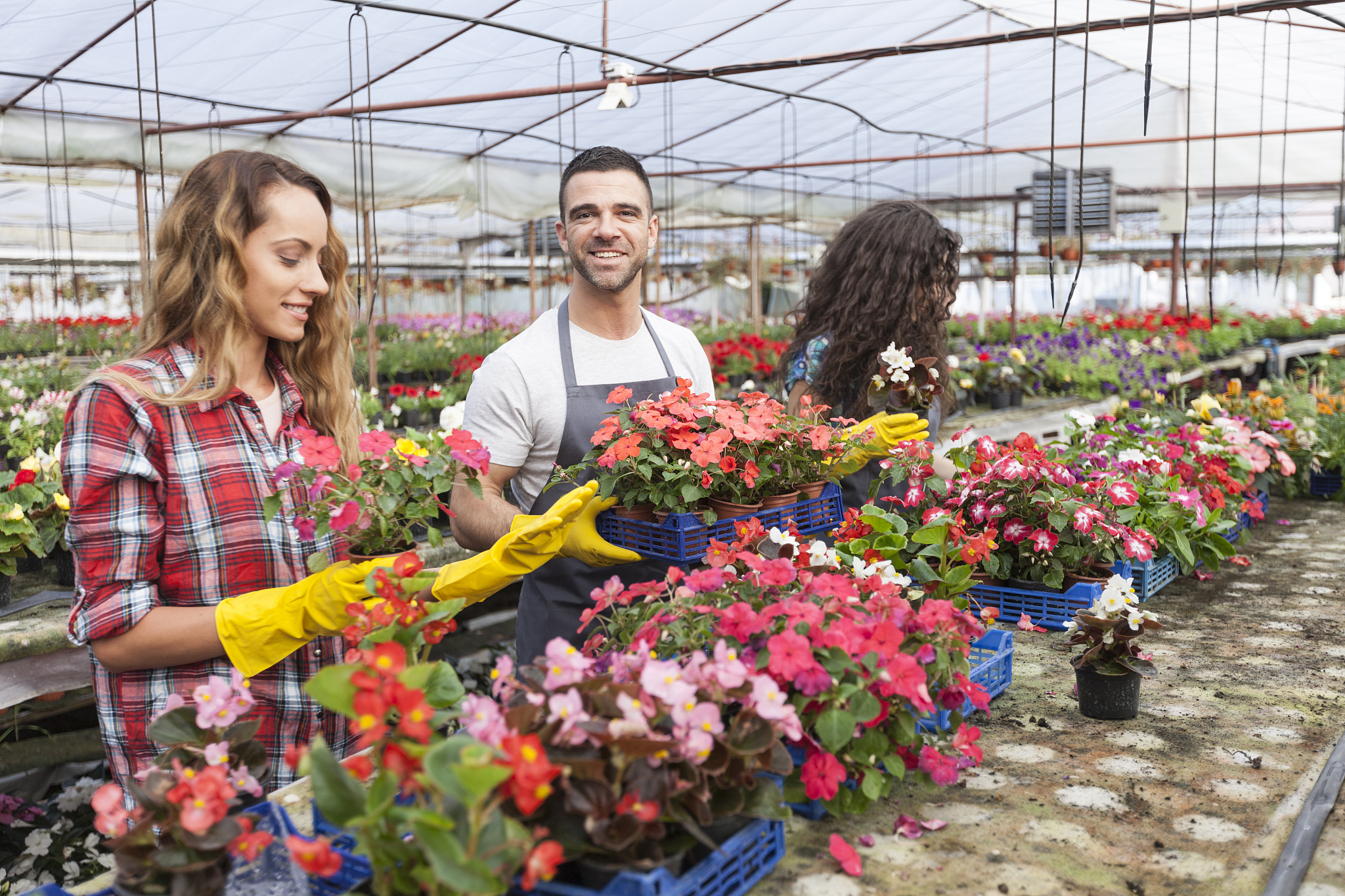 重庆三峡职业学院园艺技术专业到底好不好开设了哪些课程