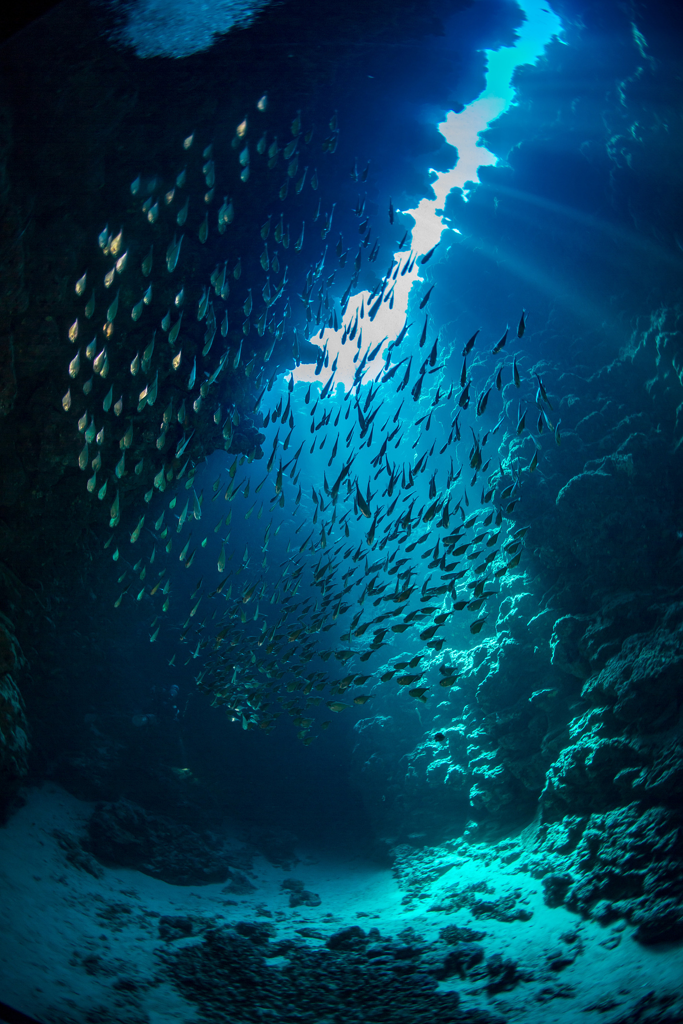 dahab egypt canyon dive site