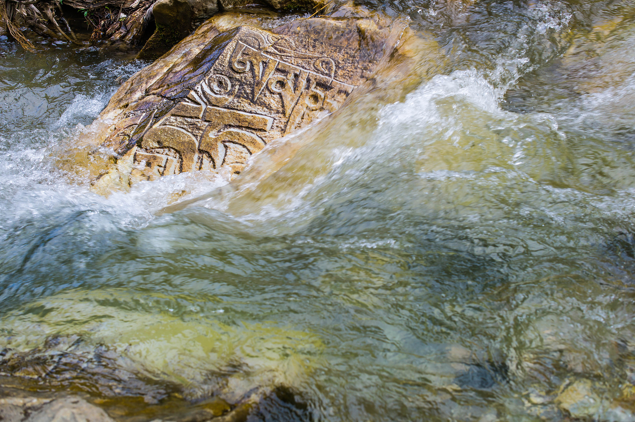 青海信联非融资担保有限公司 - 保证人信息
