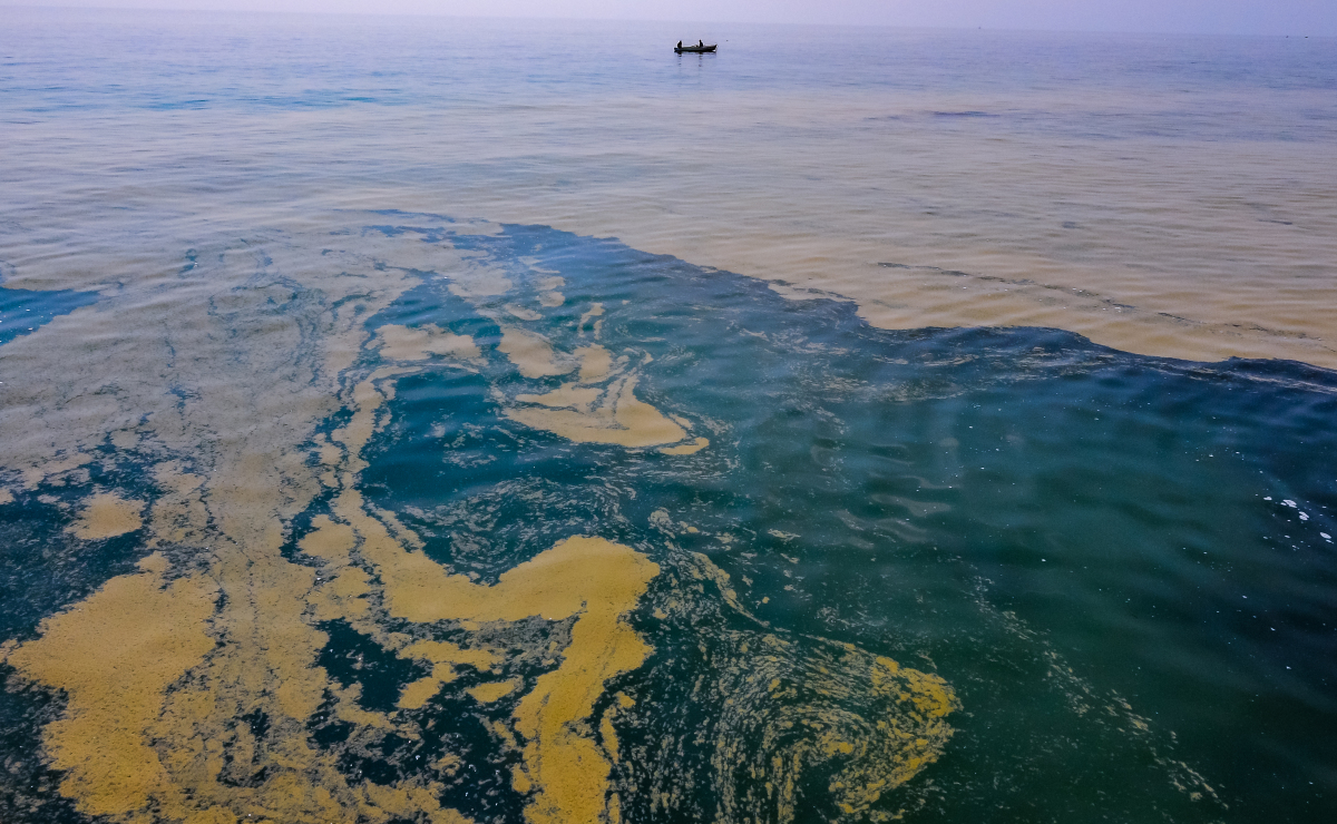 黄海海域发生4.4级地震，多地居民感受明显震感