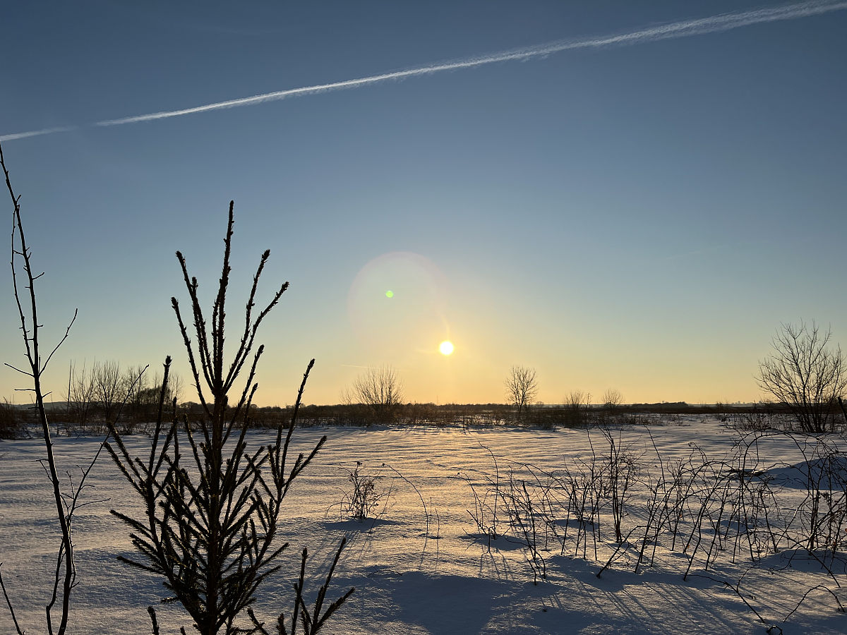 冬日暖阳：温暖与美丽
