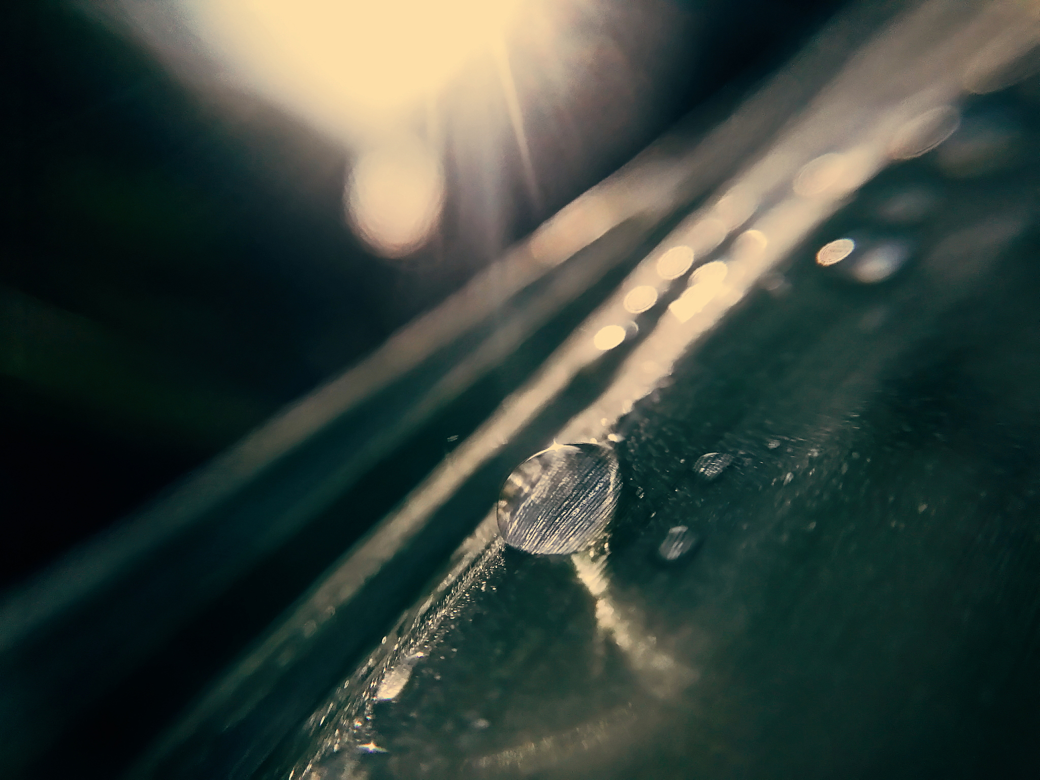 摄影技巧：掌握光影与色彩，拍出更具表现力的照片