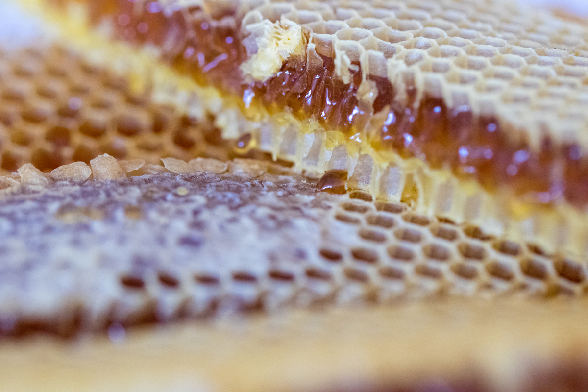 野生蜂蜜椴树蜜：来自大自然的馈赠，健康美味的选择