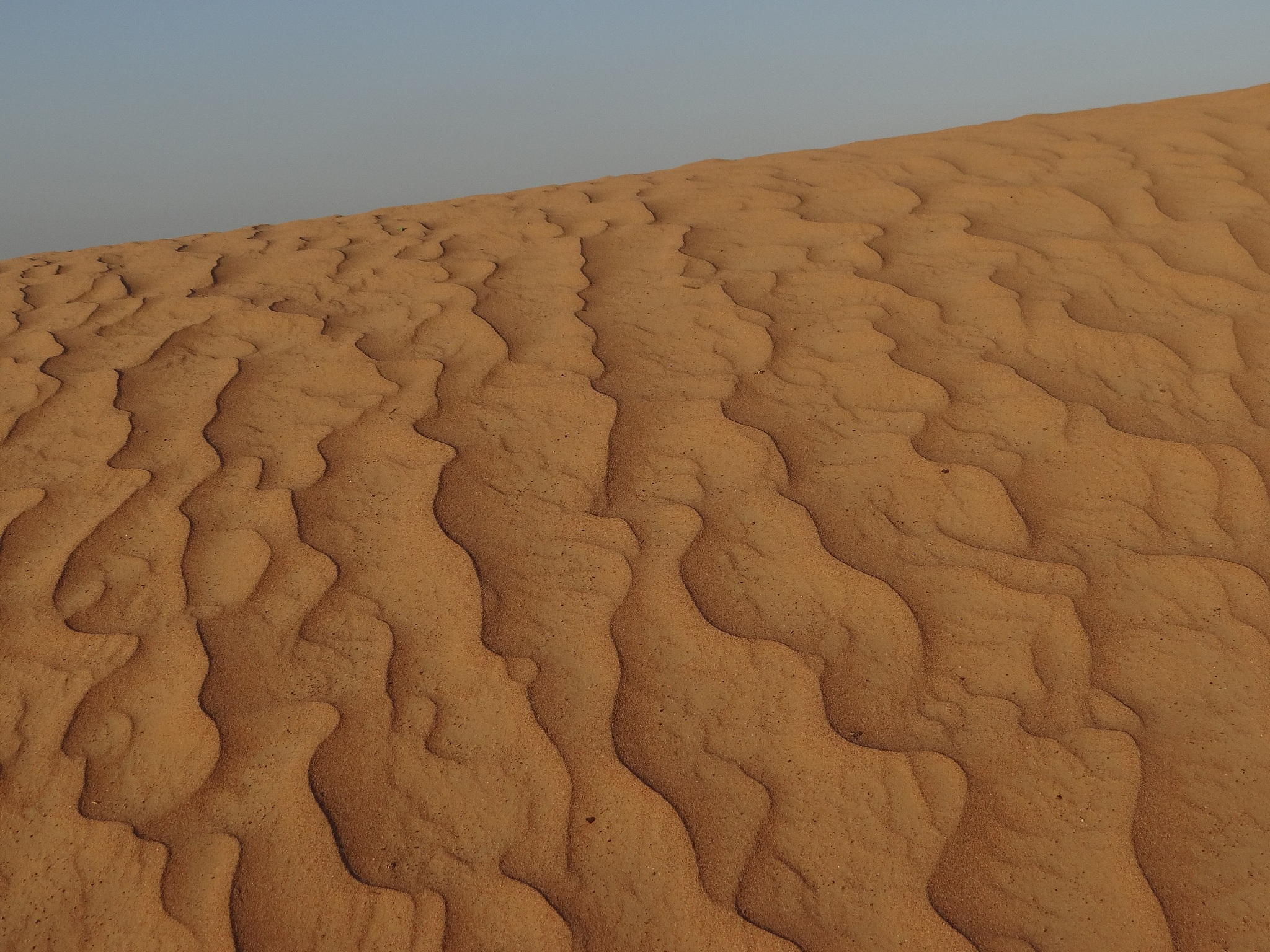 the sands of desert