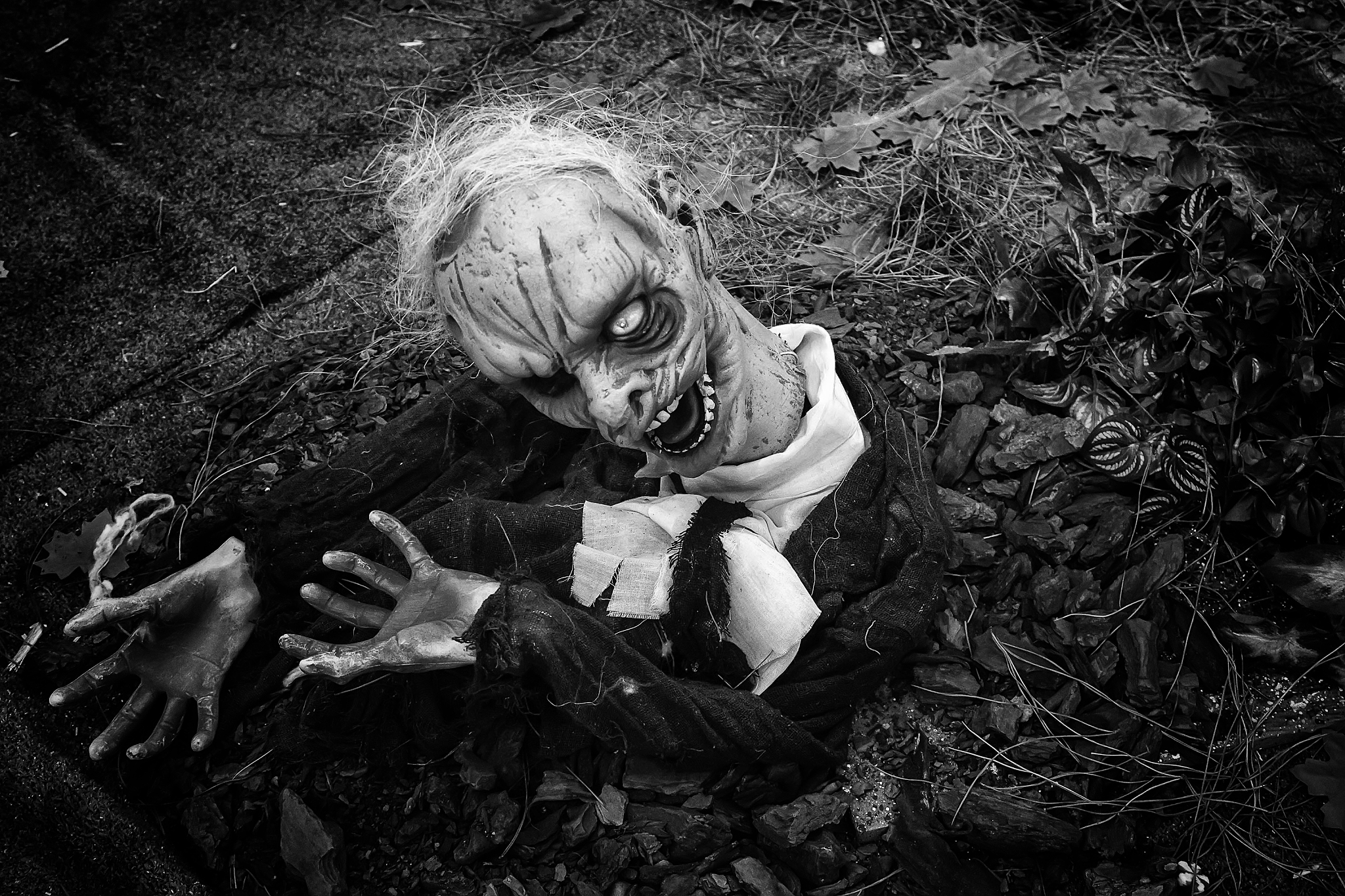 有经过科学验证的超自然事件吗