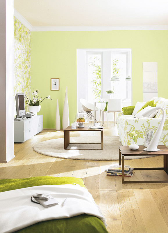 震惊！你以为的『无醛』其实是假的？| 装修避坑指南