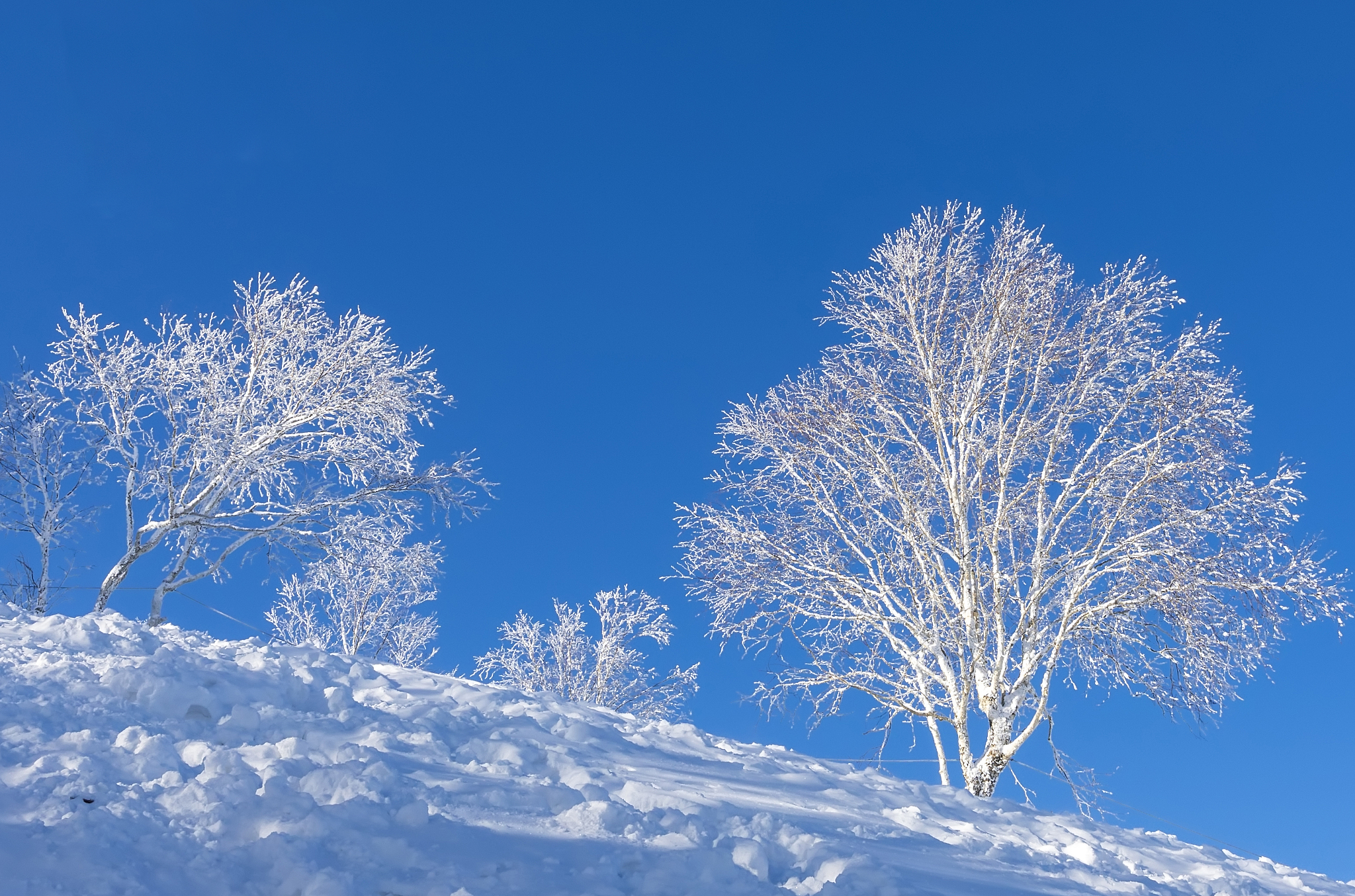 洁净室开门方向标识规范与重要性