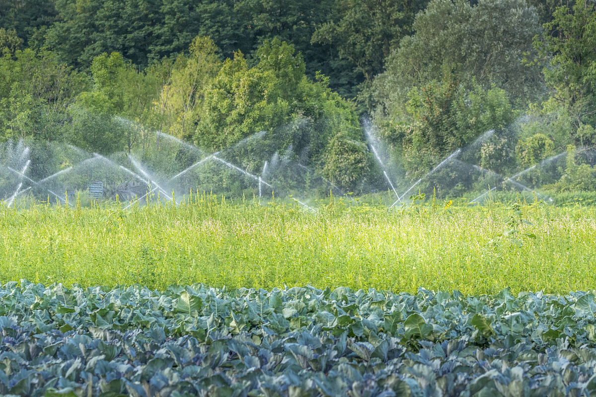 基于zigbee的智能浇花系统的经济意义