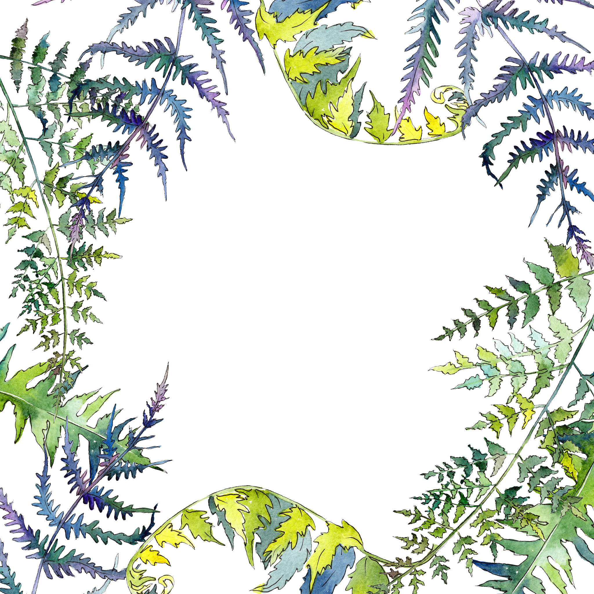 fern green leaves. watercolor background illustration set. frame