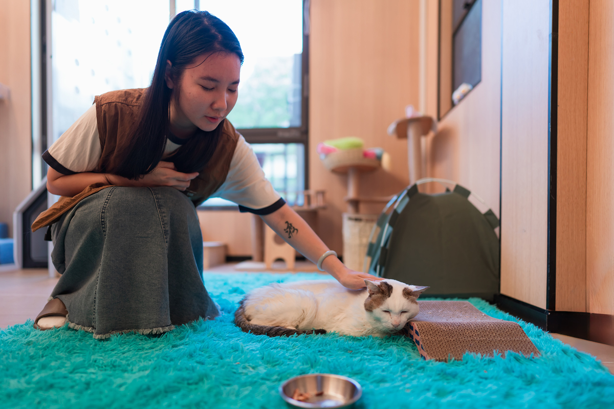 出门旅行，爱宠无人照料？专业宠托师上门喂养，让您安心出游！