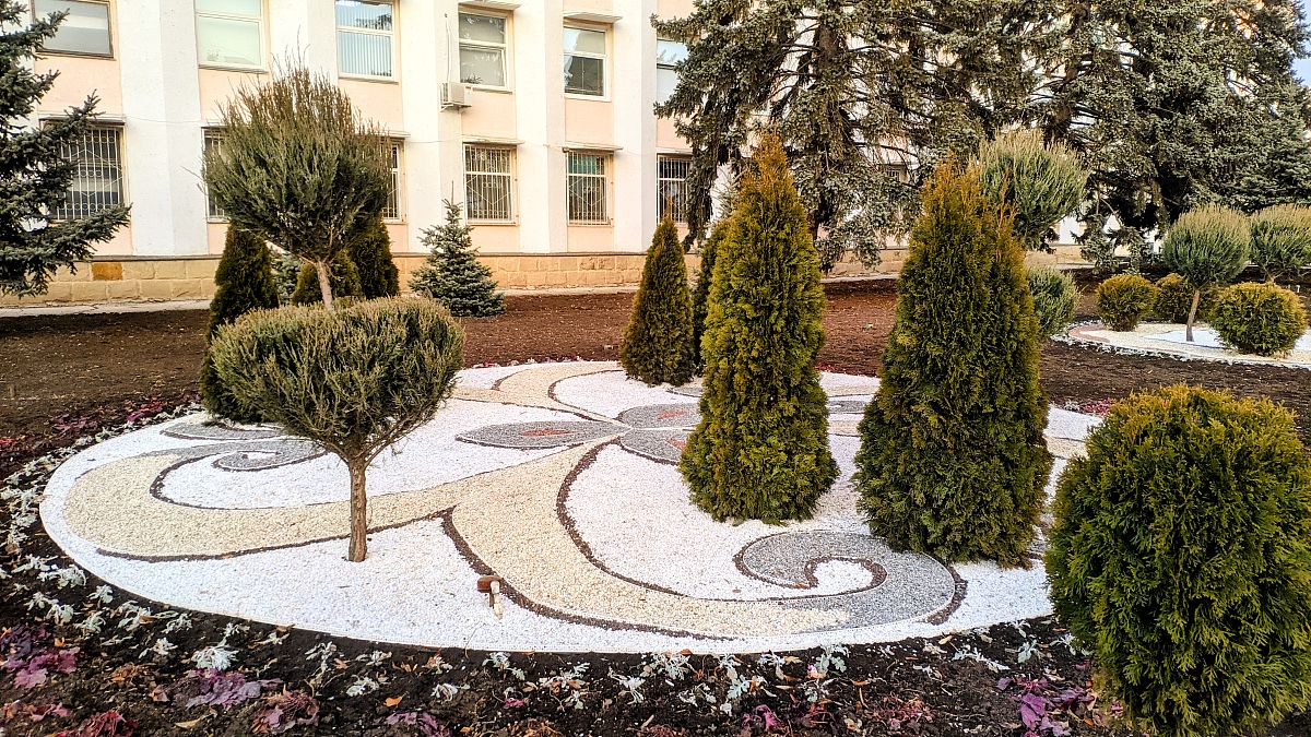 学校主干道绿化设计：每隔一米栽一棵树的优势