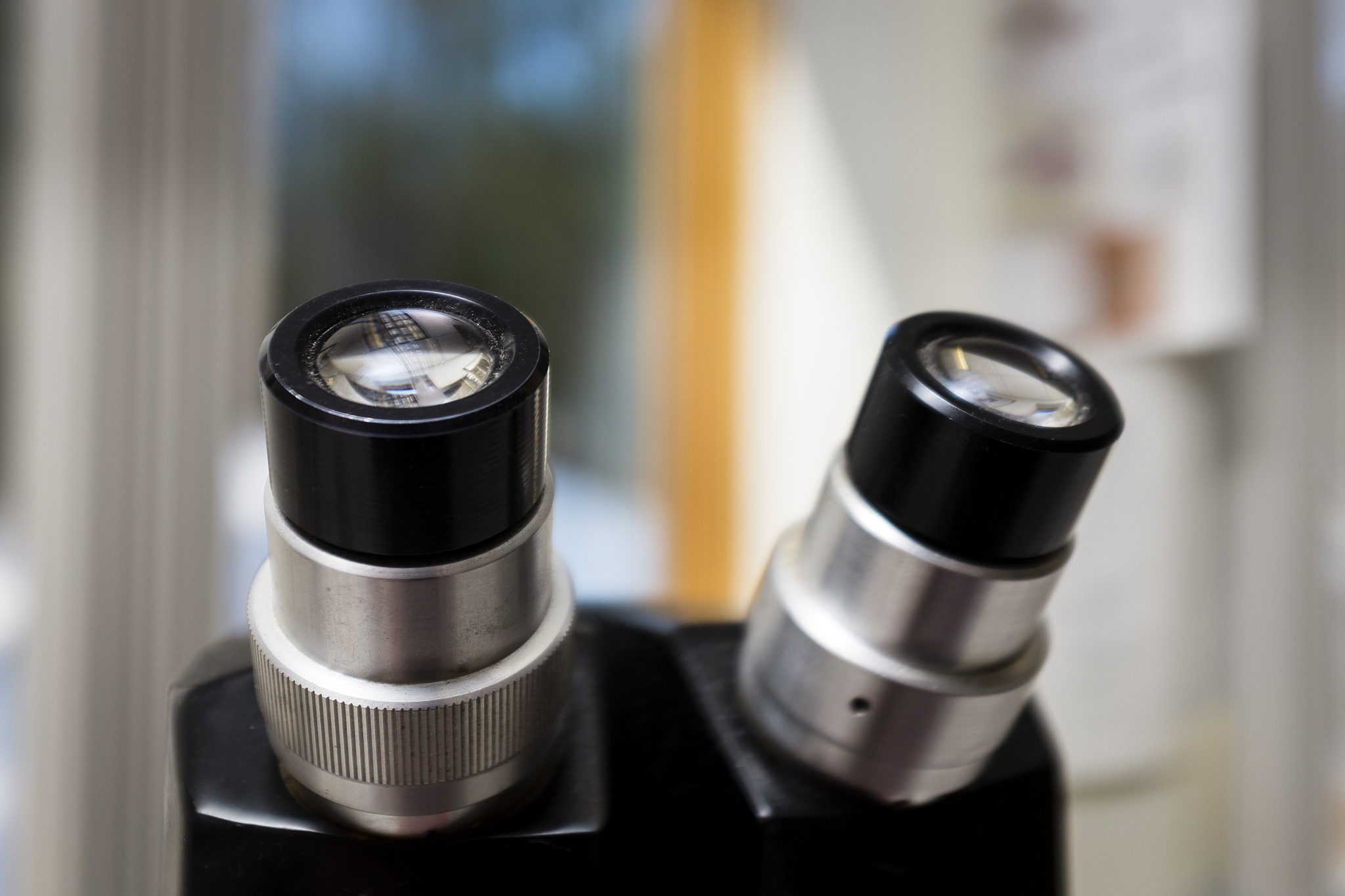 显微镜物镜倍数选择指南：4倍、10倍、40倍、100倍