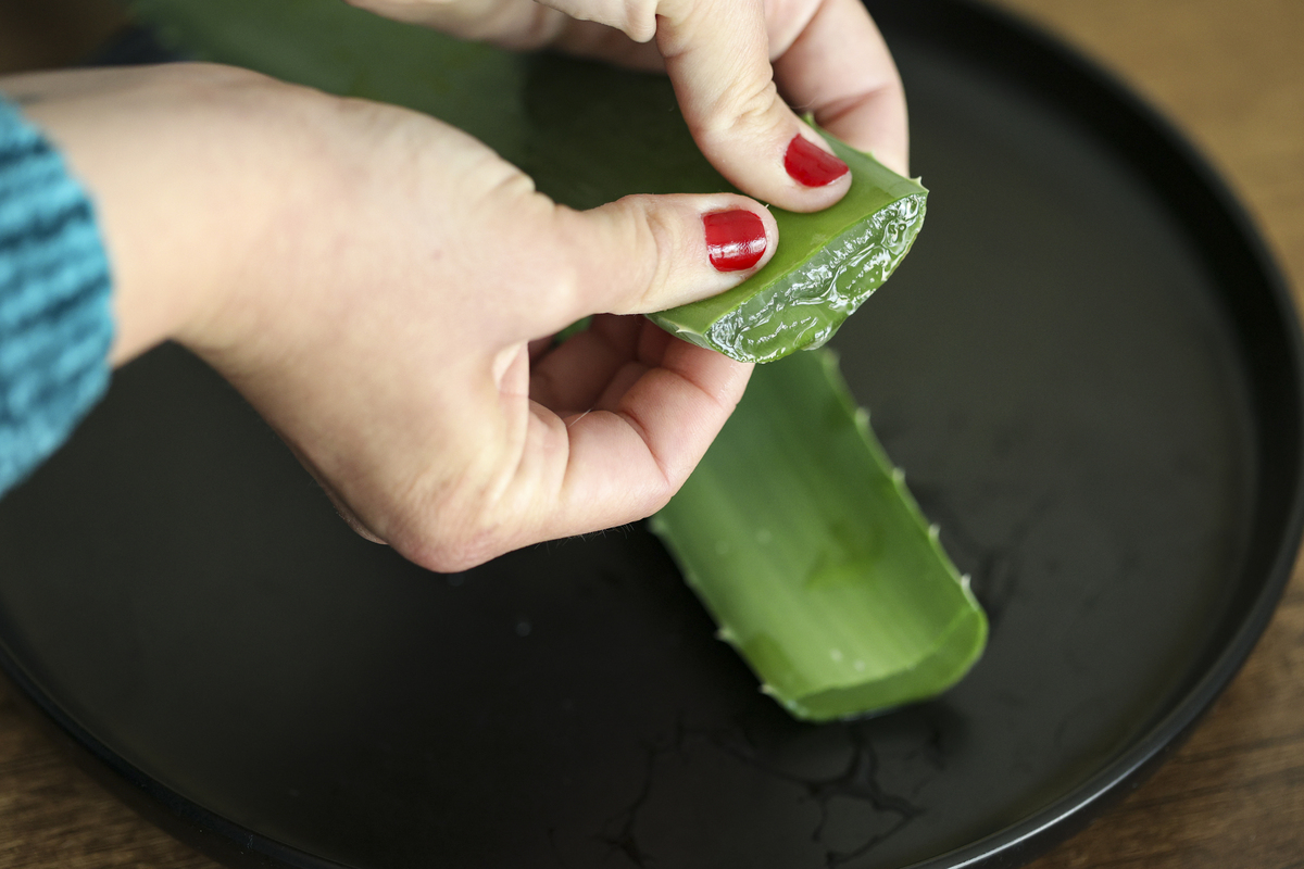 芦荟皂有什么作用