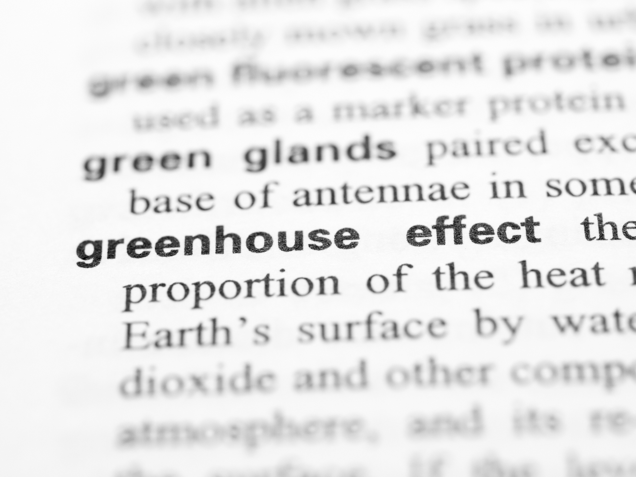 英语作文：是做出错误的决定还是什么也不做？