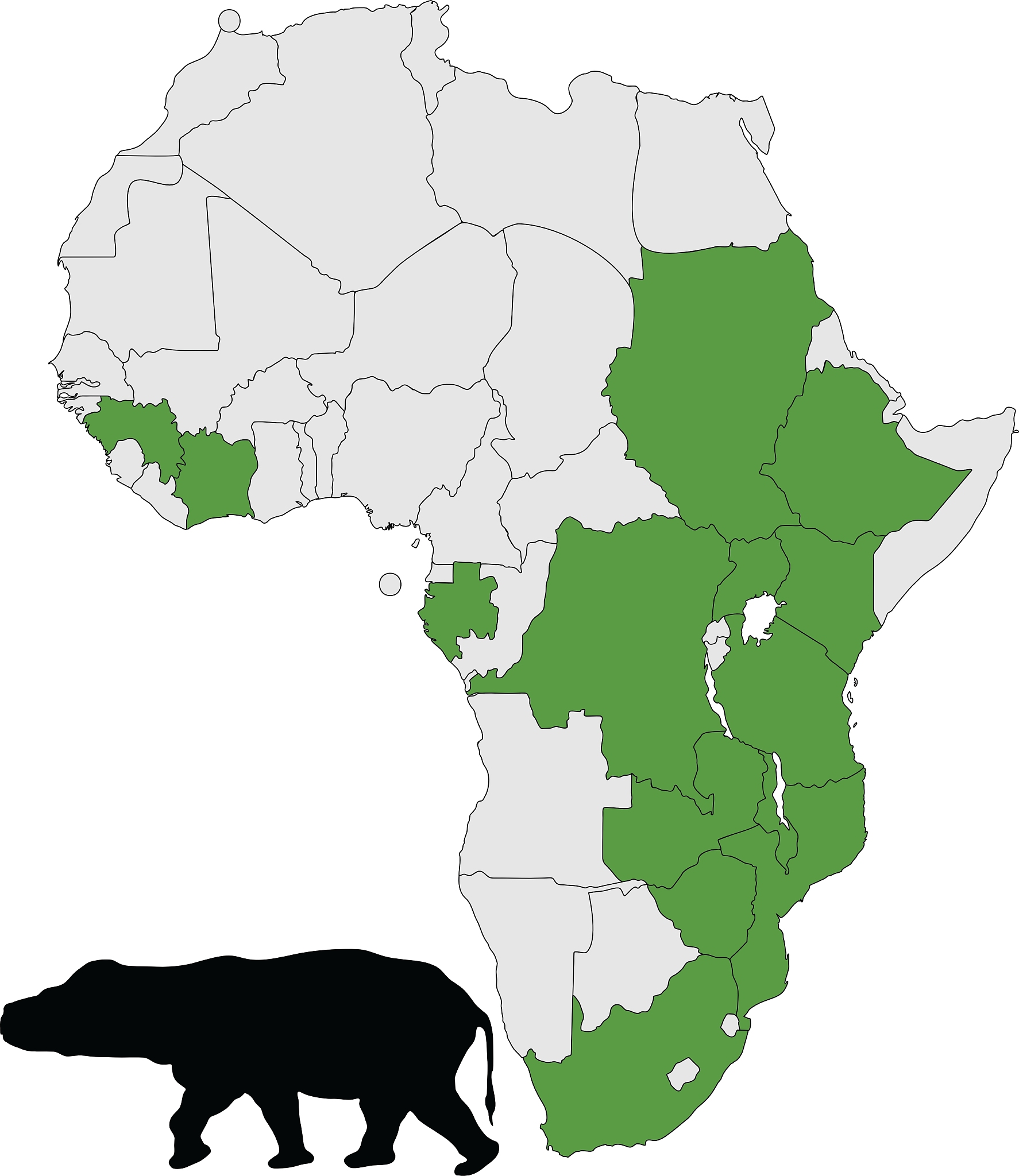 hippo africa range