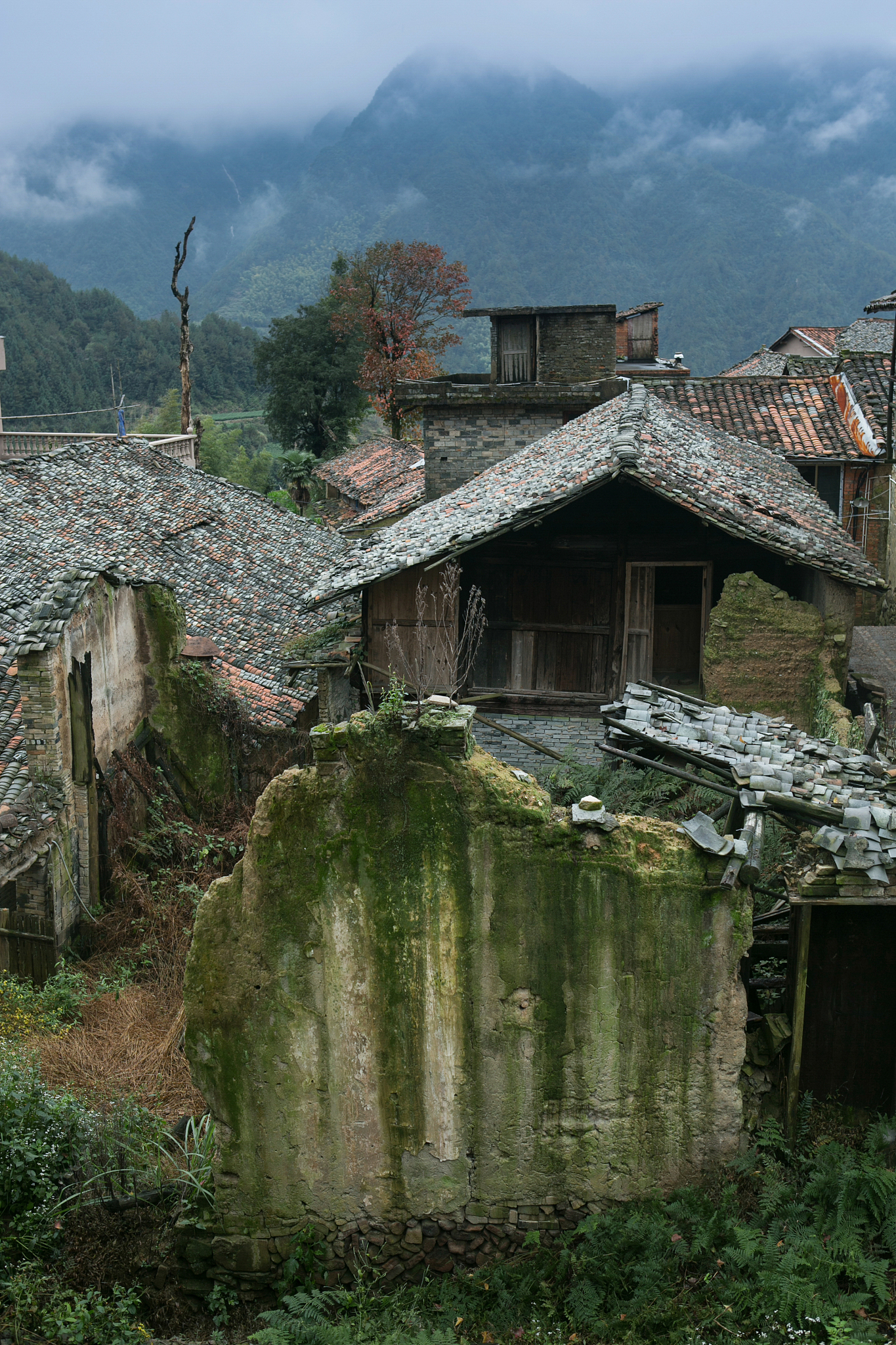 建阳县任德里是哪里