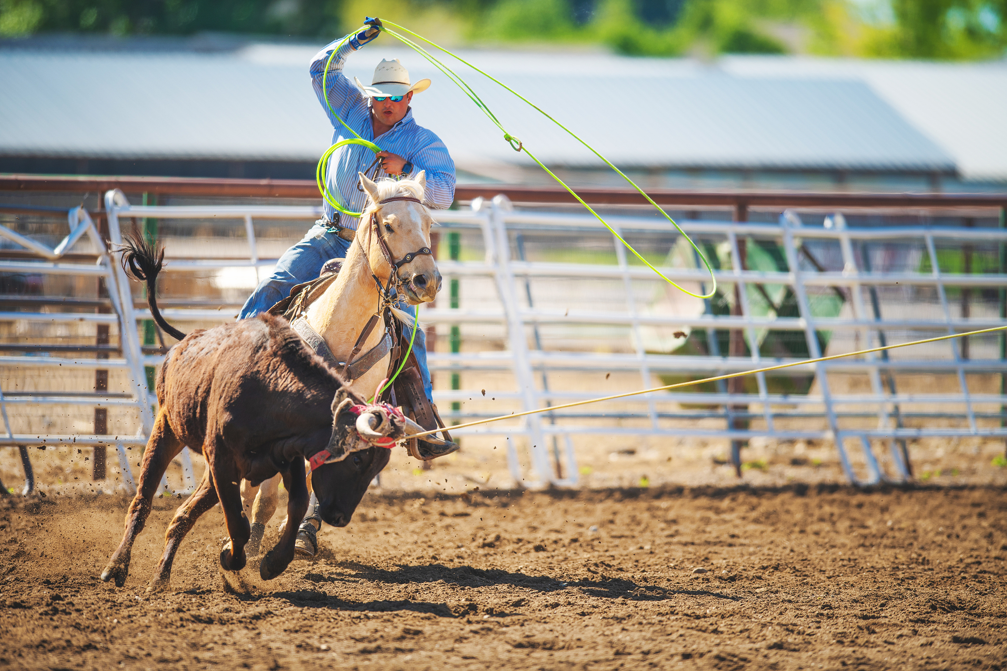 给我一份详细的体育教学计划