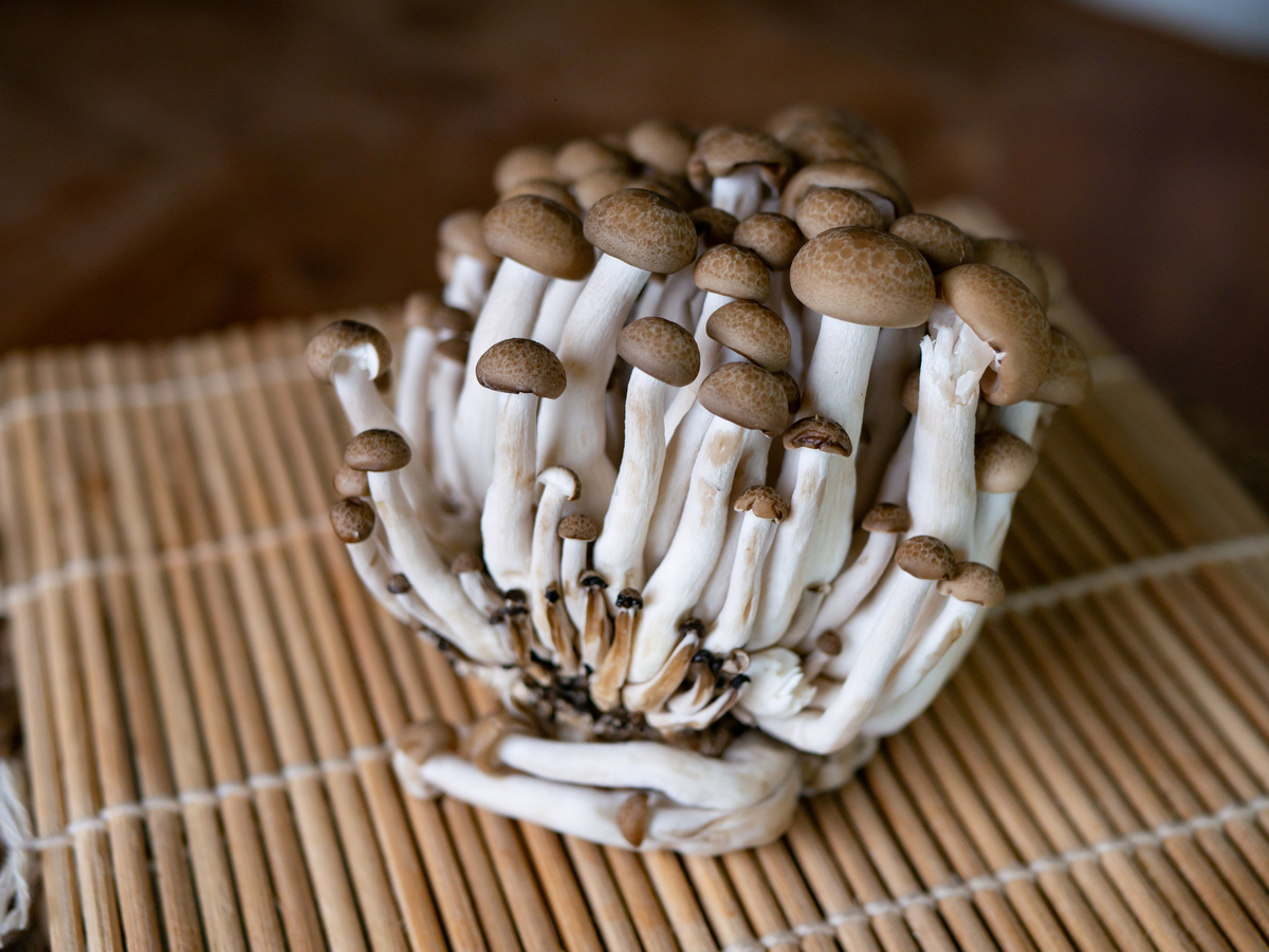 章子菌怎么吃