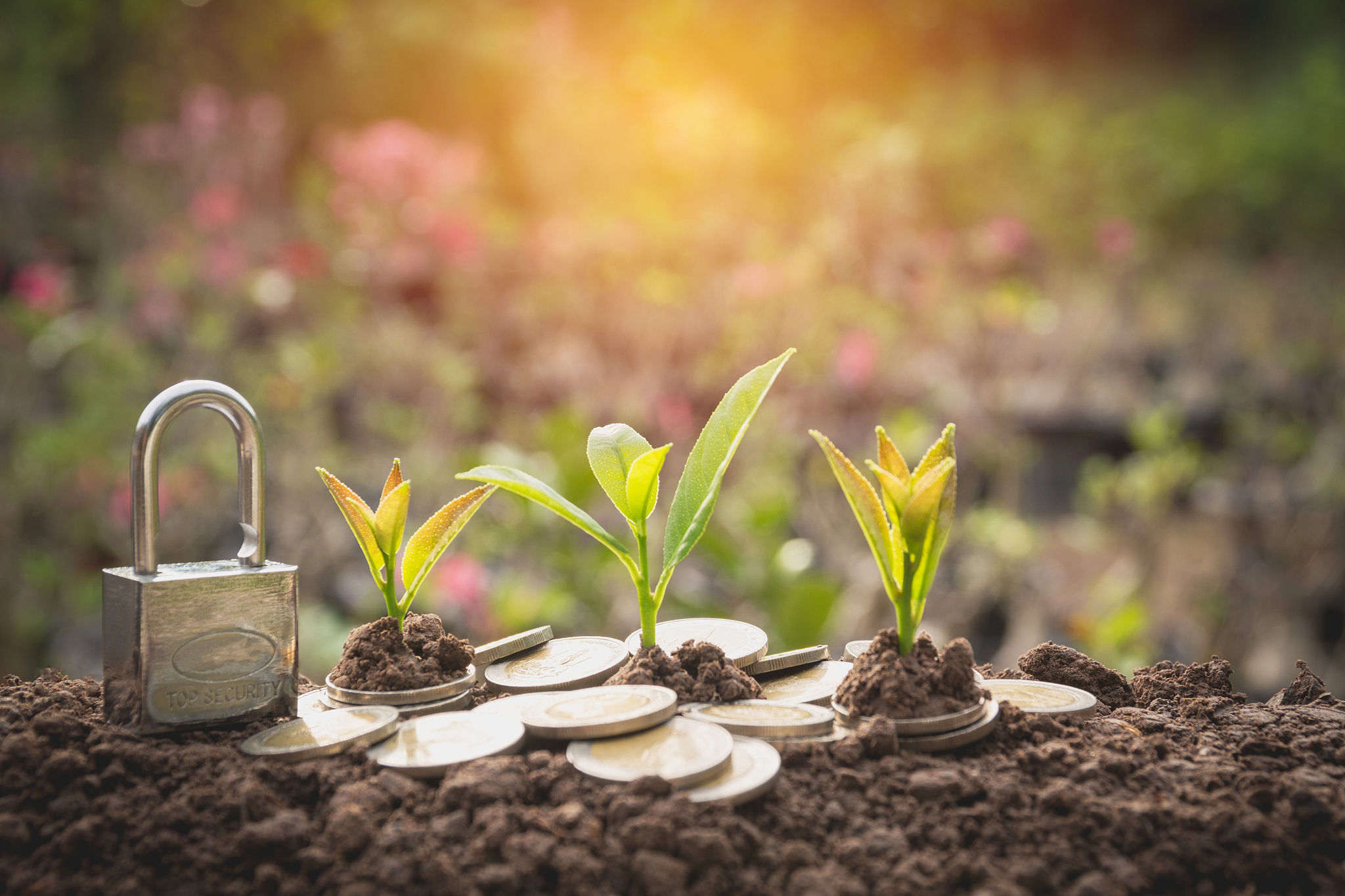 在很久很久以前