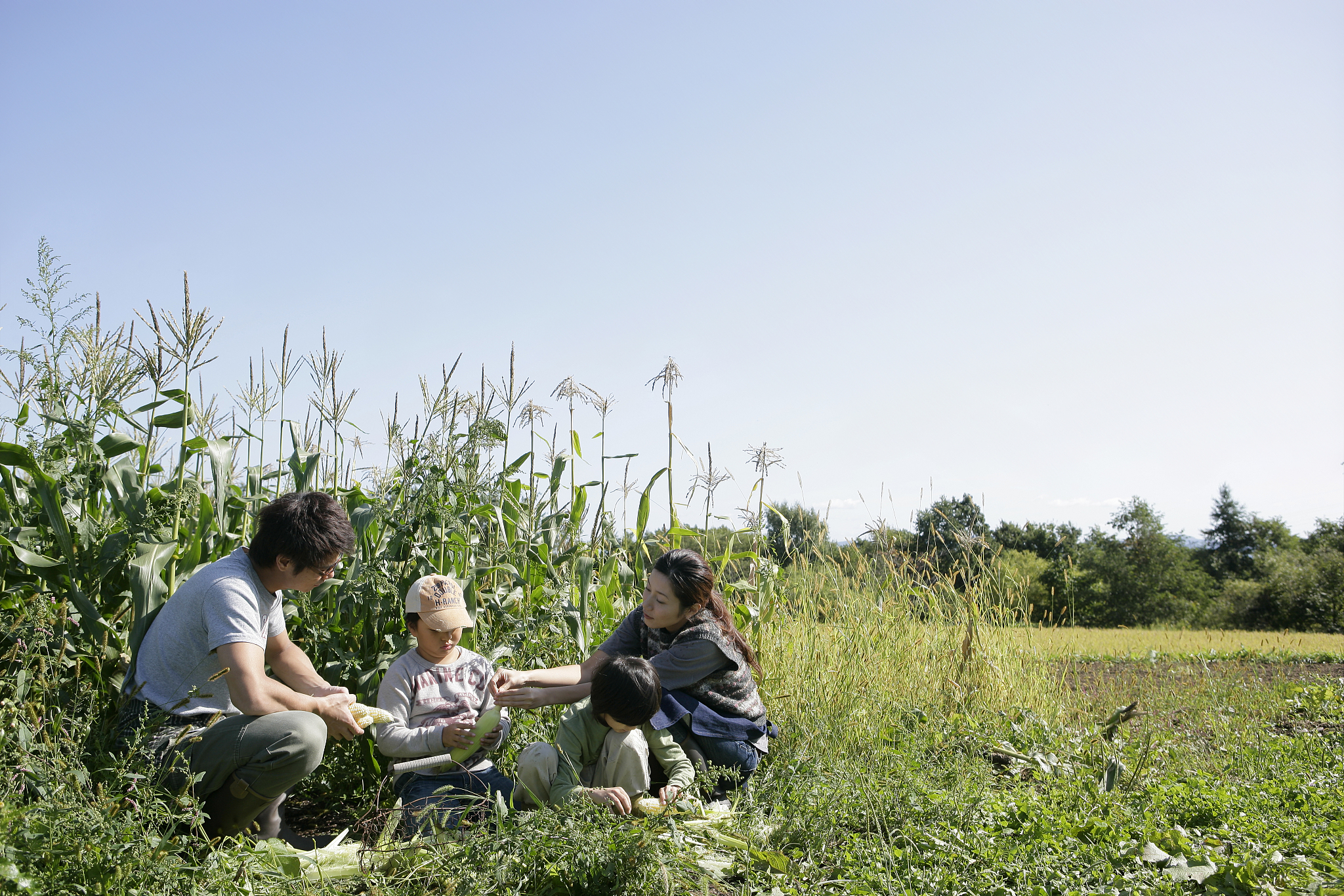 云南曲靖农业学校五年制招生条件：入学要求及优势