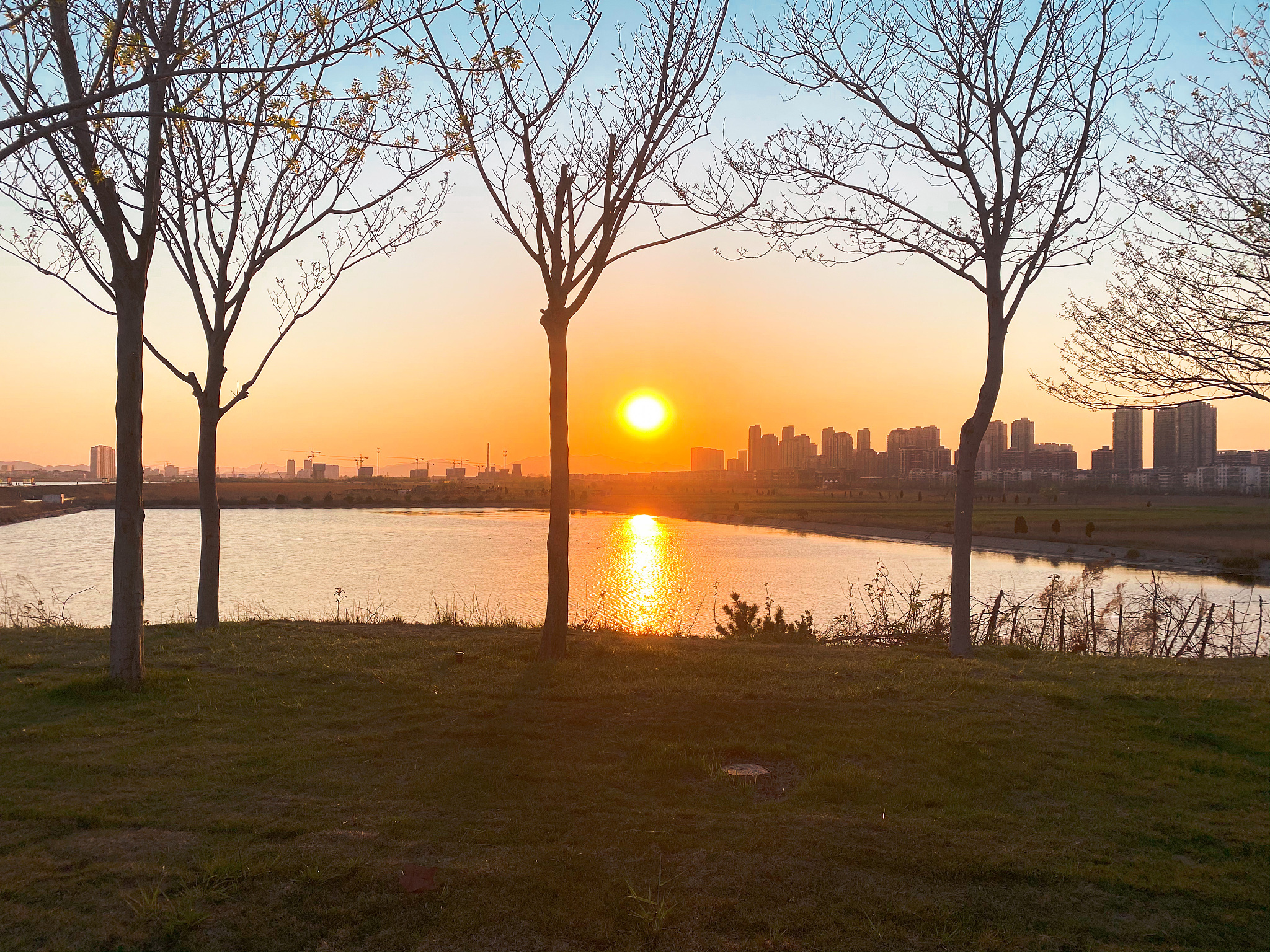 土壤磷饱和度对铁氧化物固持磷的影响