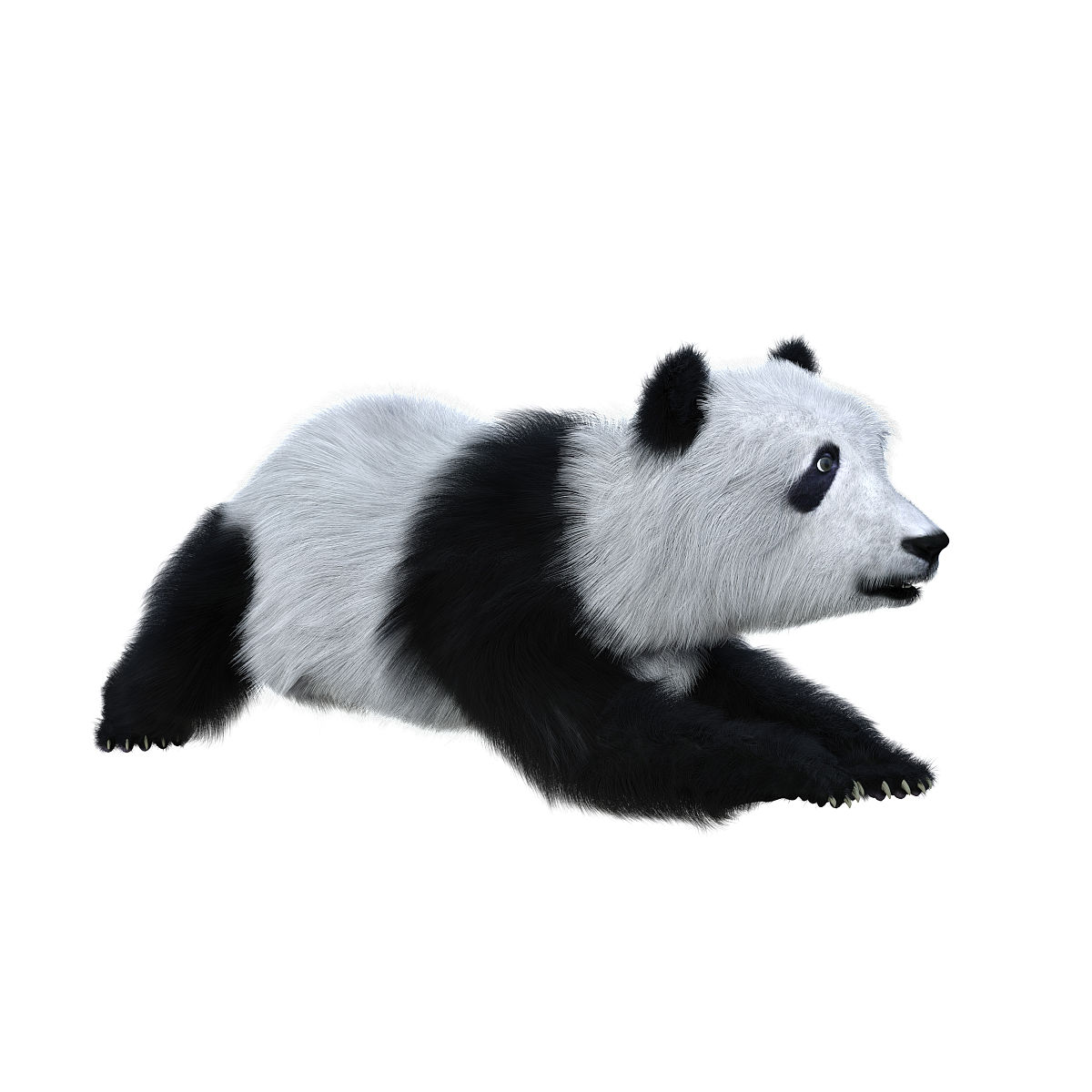 # Import necessary modules# 导入必要的模块from directshowbaseShowBase import ShowBase # 导入ShowBase类from panda3dcore import WindowProperties # 导入WindowProperties类from directshowbaseShowBase import ShowBase