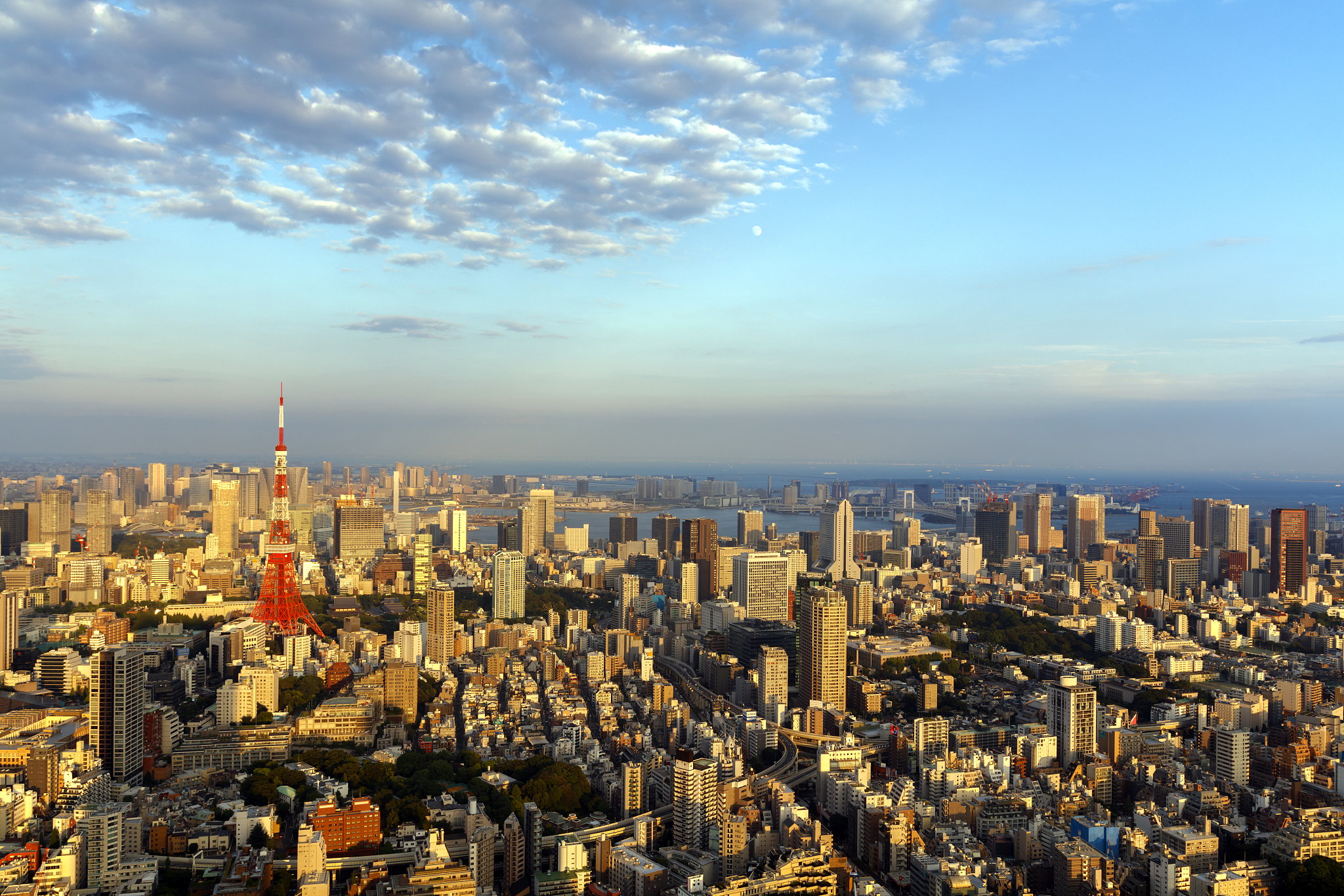 tokyo cityscape with tokyo tower in sunset light