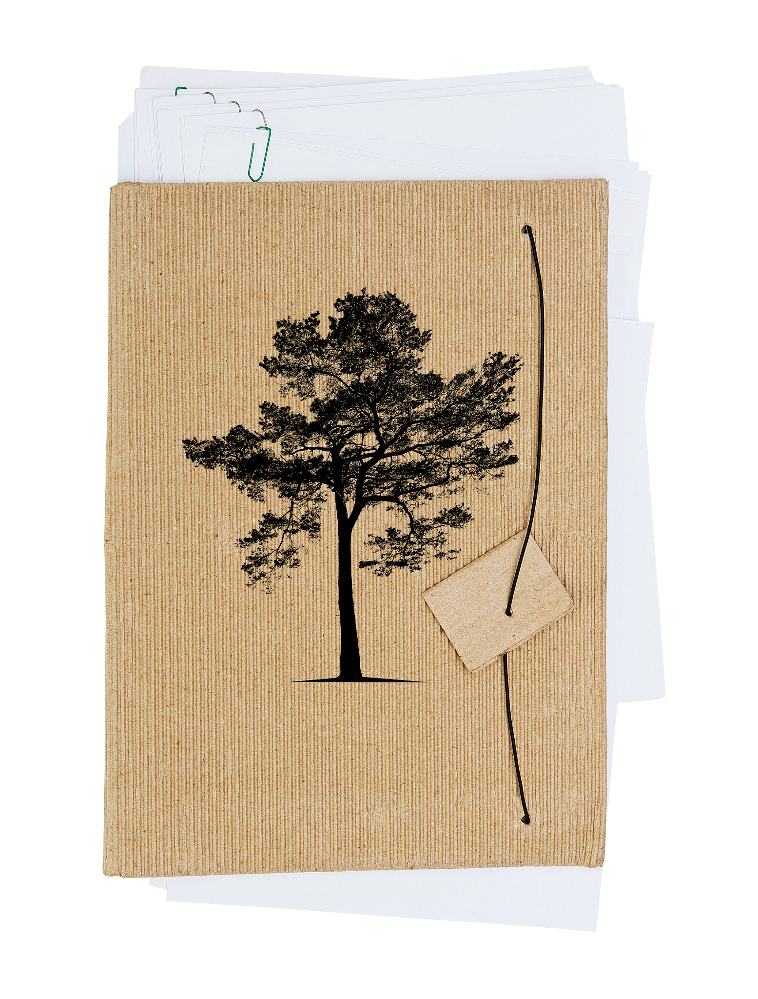 FOREST PRODUCTS JOURNAL 期刊研究范围：涵盖林产品生产、加工、性能、应用等